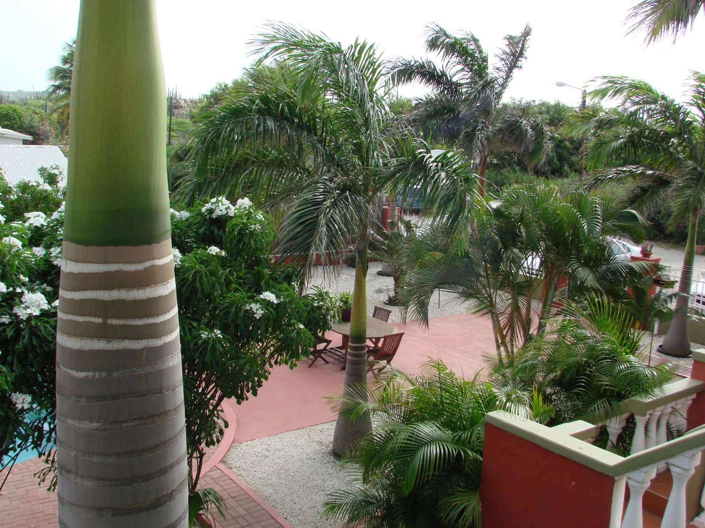 Garden in Cunucu Villas - Aruba Tropical Garden Apartments