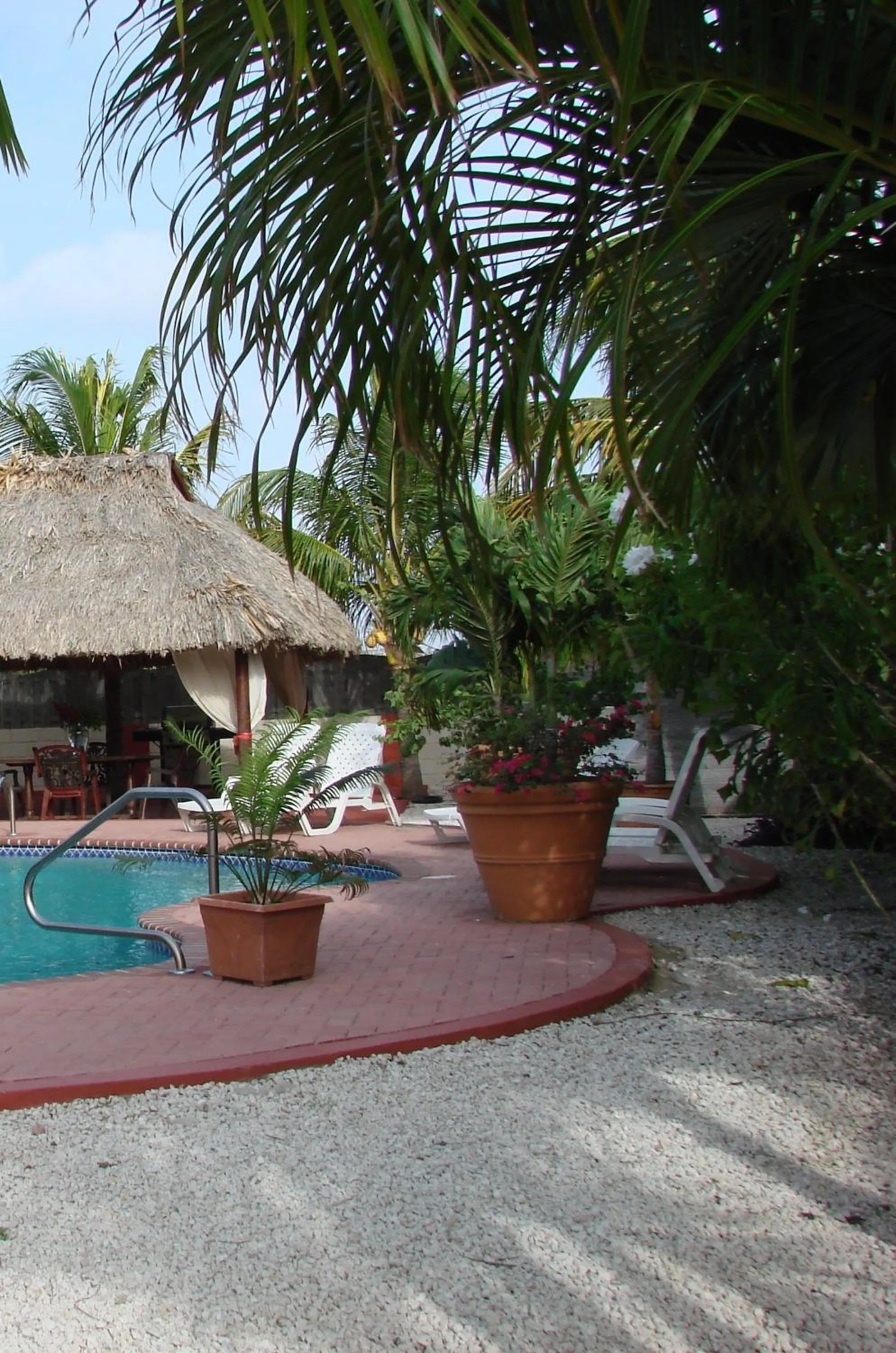 Balcony/Terrace in Cunucu Villas - Aruba Tropical Garden Apartments