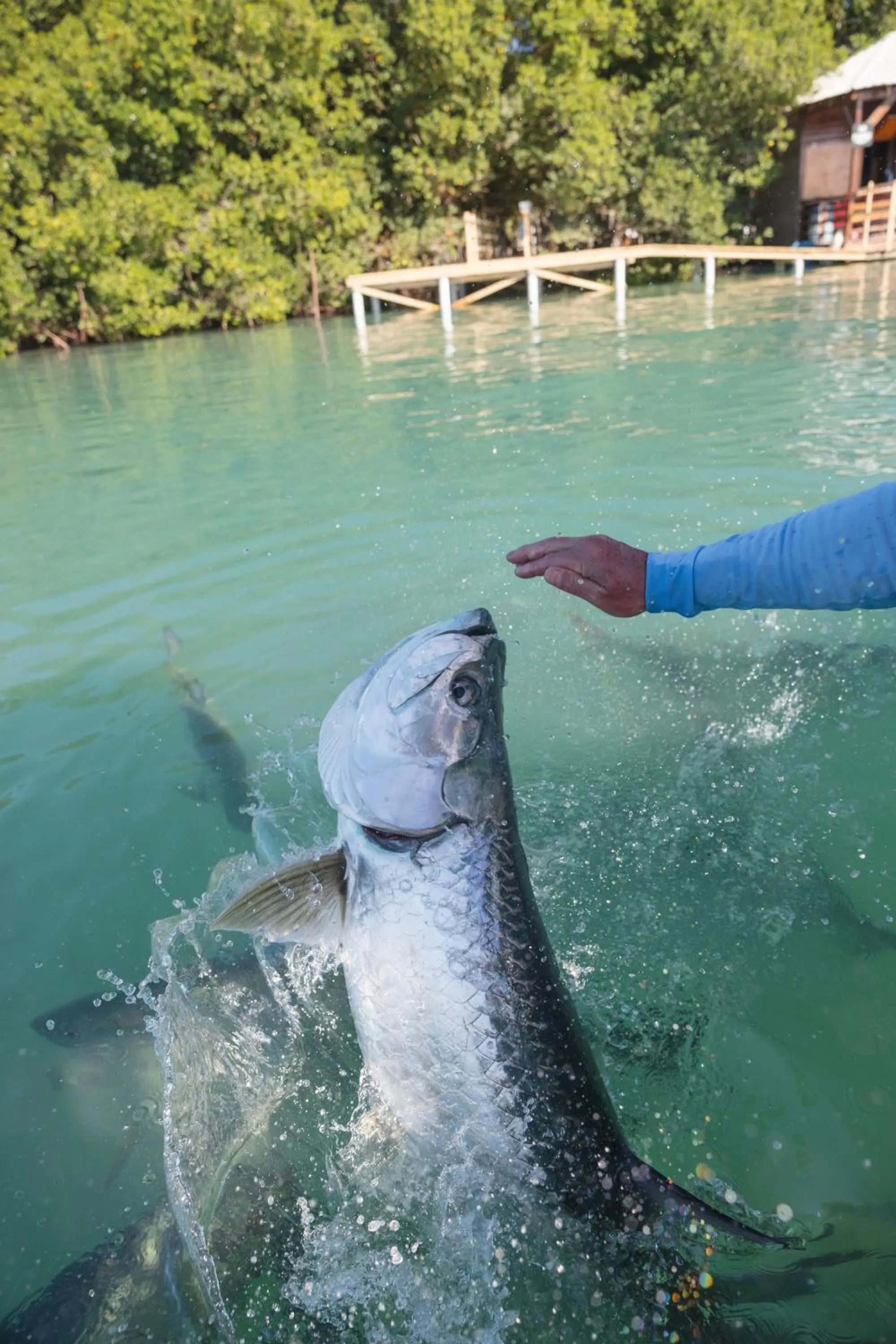 Activities in Ocean Tide Beach Resort