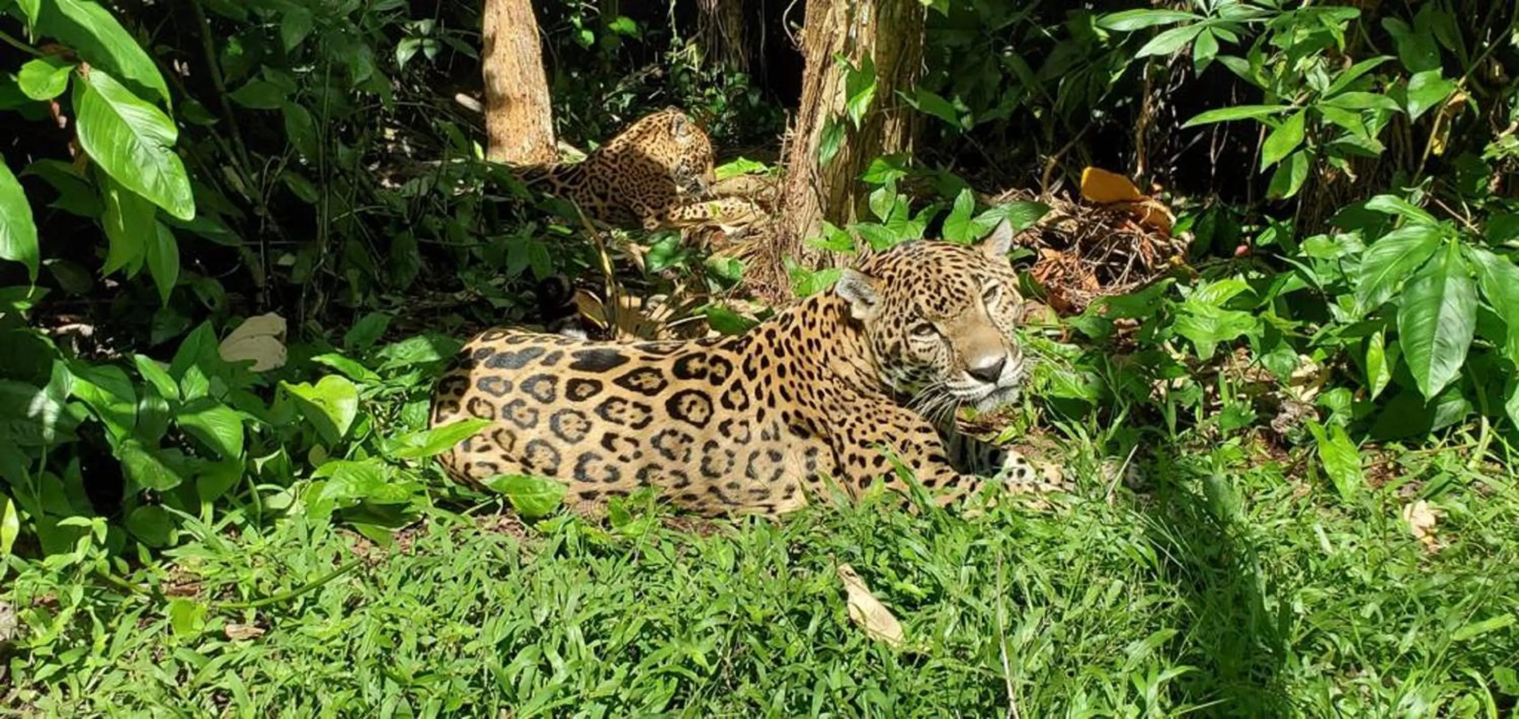 Activities in Ocean Tide Beach Resort