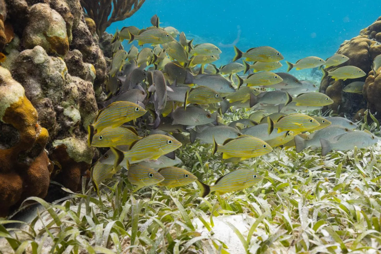 Activities in Ocean Tide Beach Resort