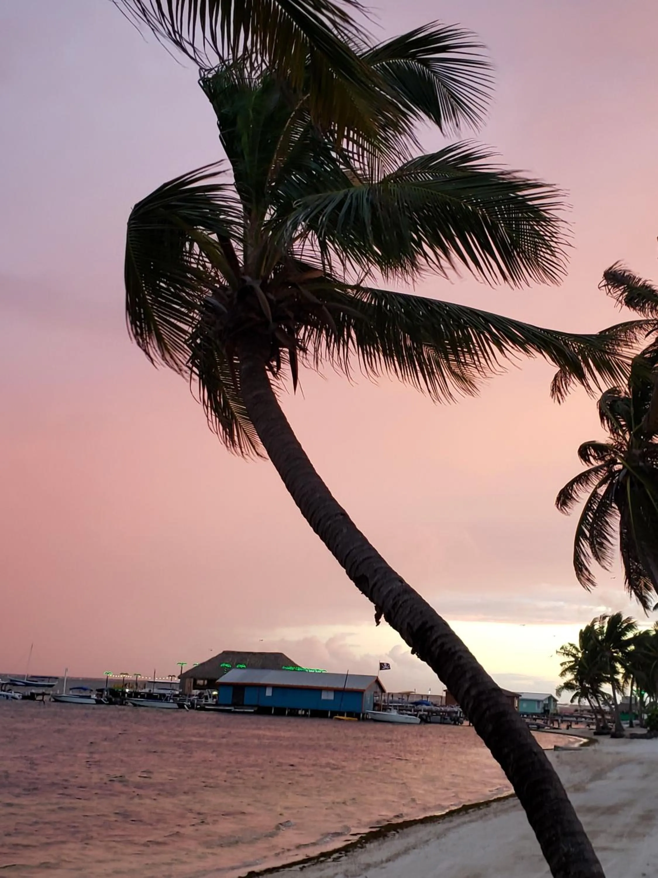 Beach in Ocean Tide Beach Resort