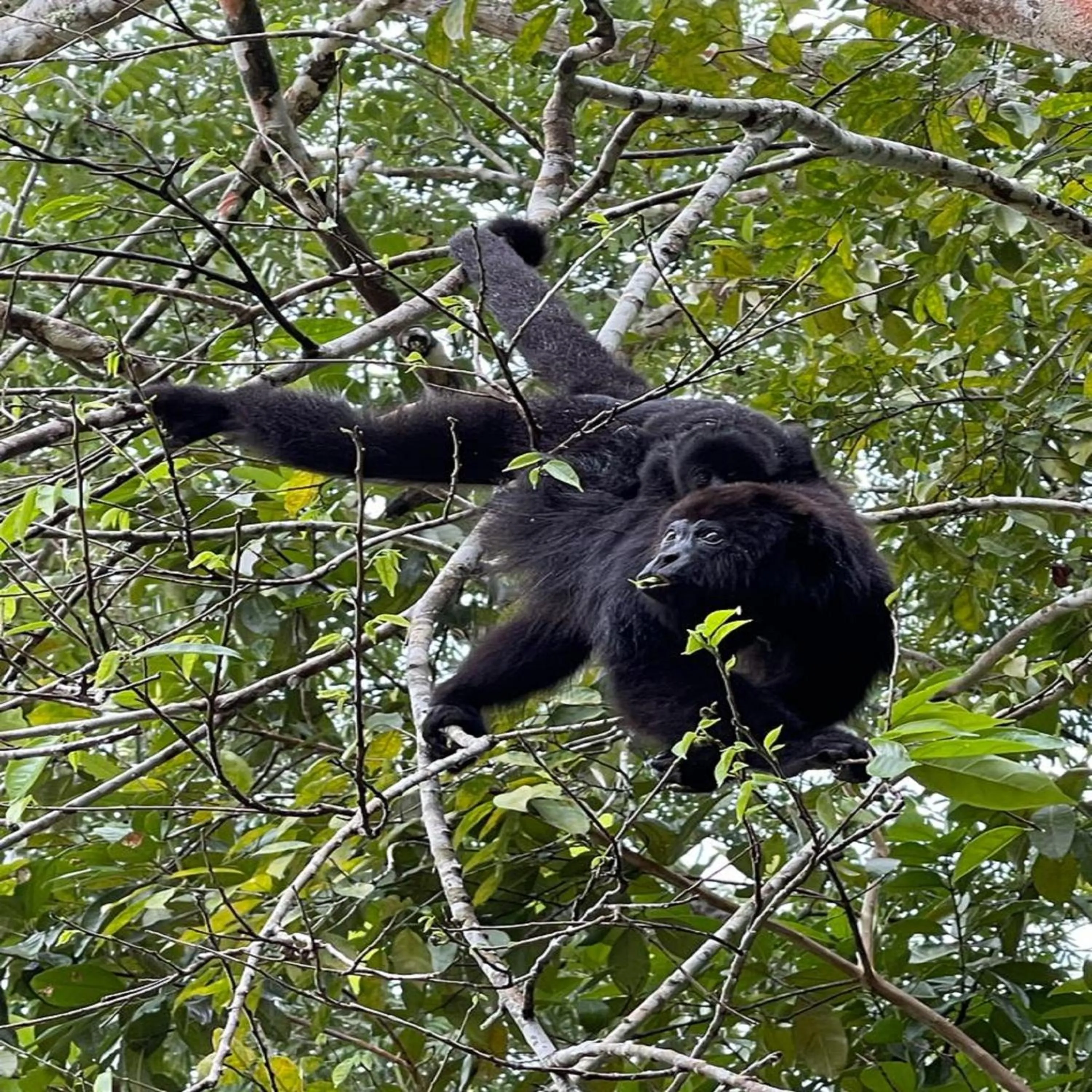 Activities in Ocean Tide Beach Resort
