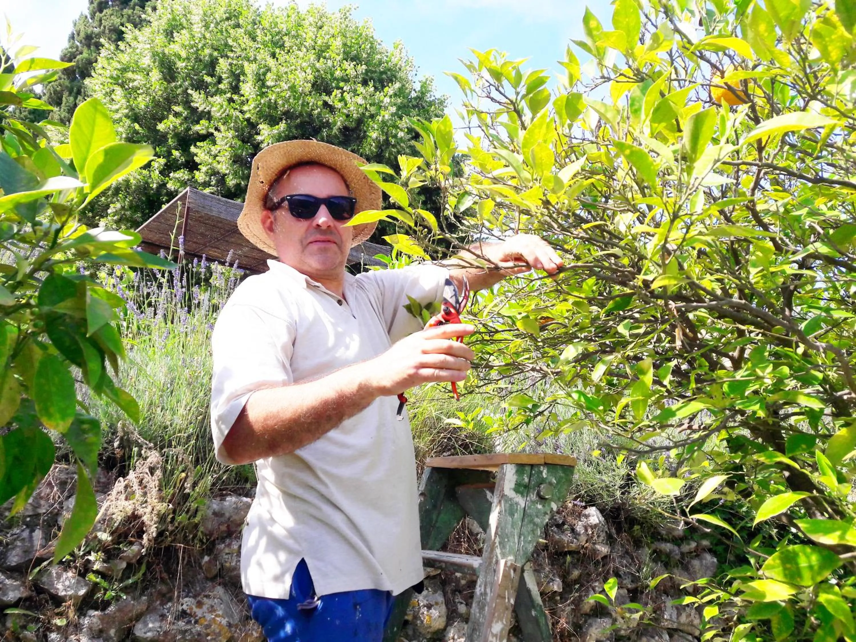 Garden in Holidays In Provence Alpes Maritimes