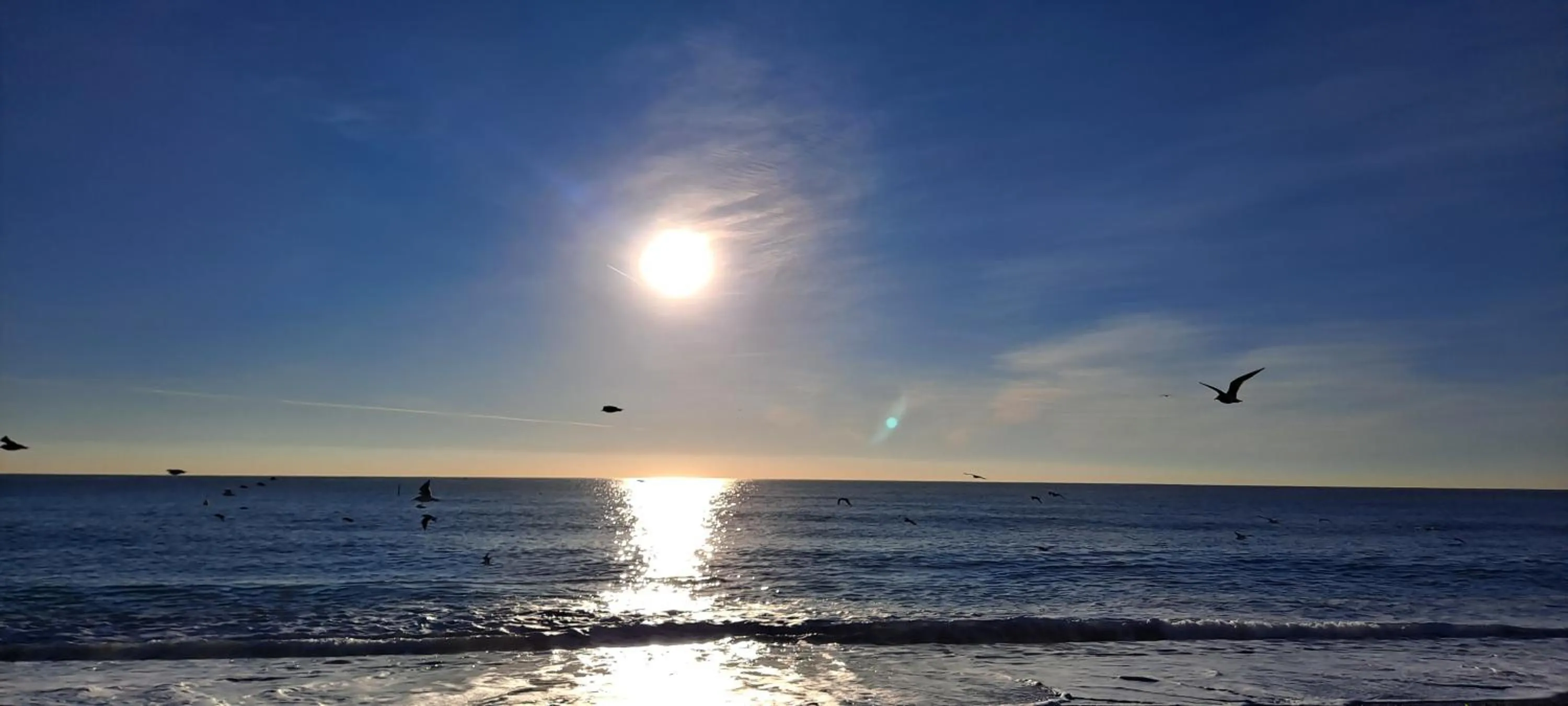 View (from property/room) in Holidays In Provence Alpes Maritimes