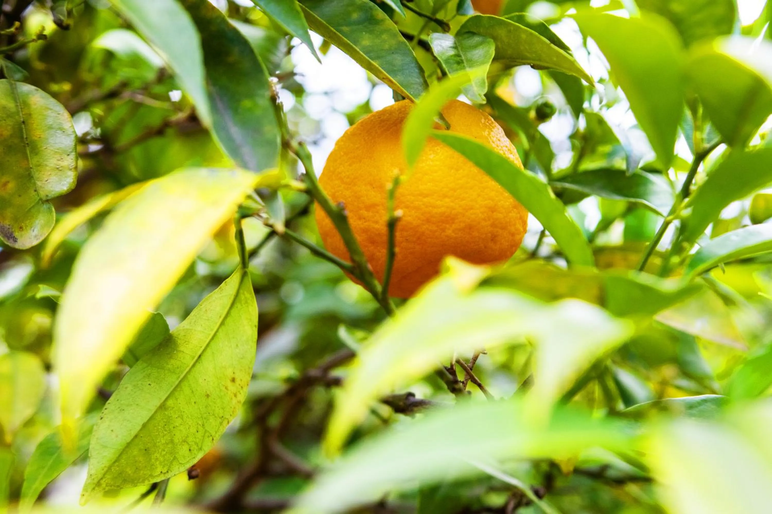 Holidays In Provence Alpes Maritimes