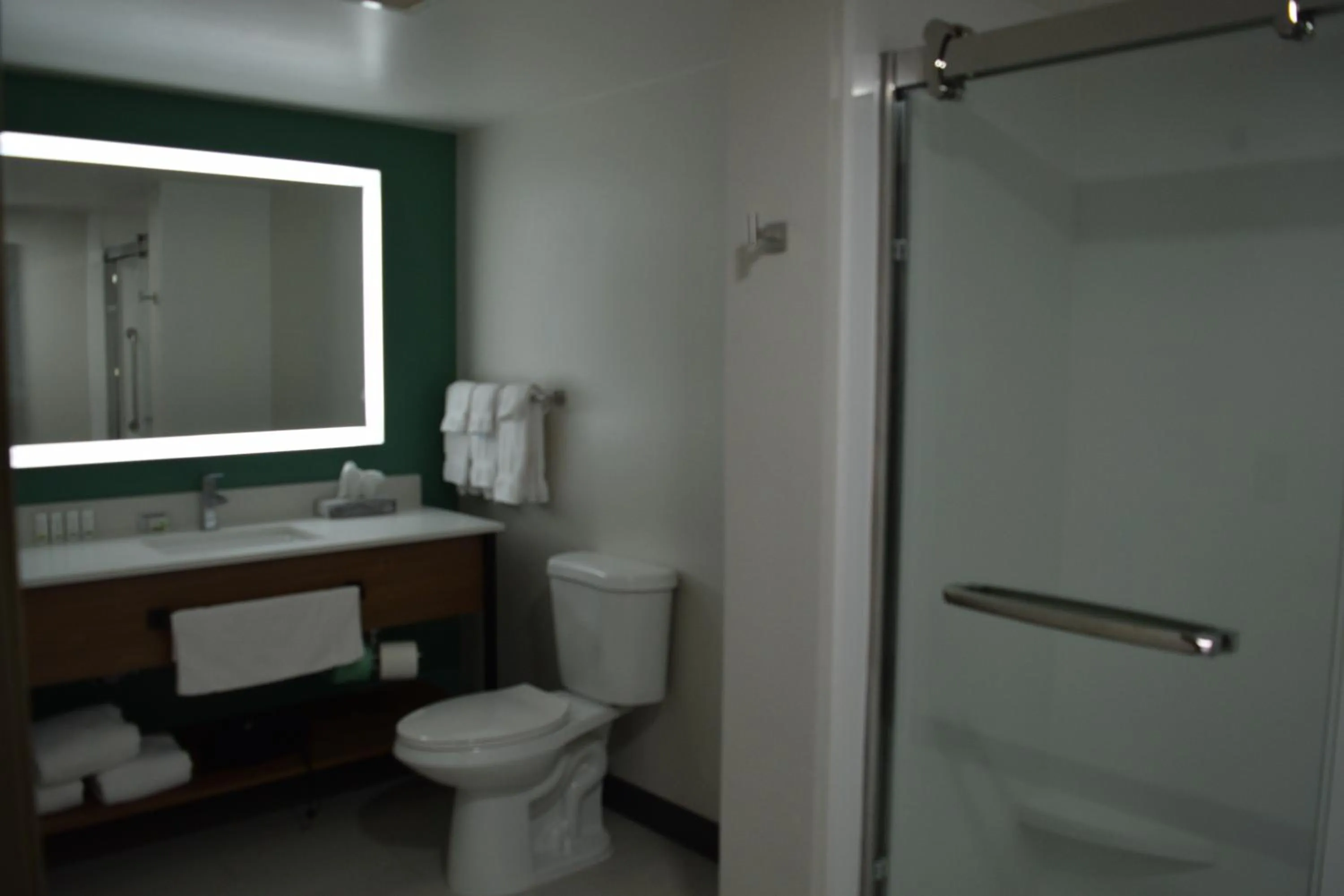 Toilet in Wingate by Wyndham Parkersburg-Vienna