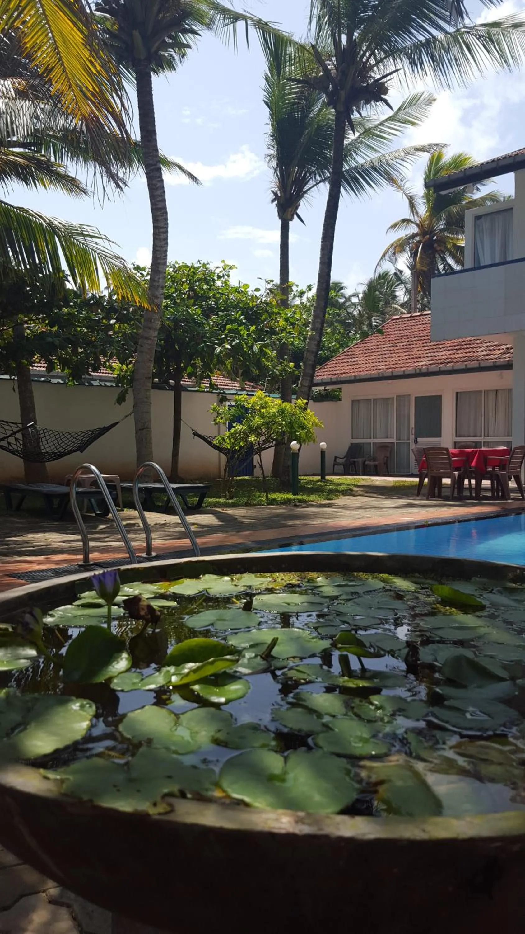 Garden in Edelweiss Resort