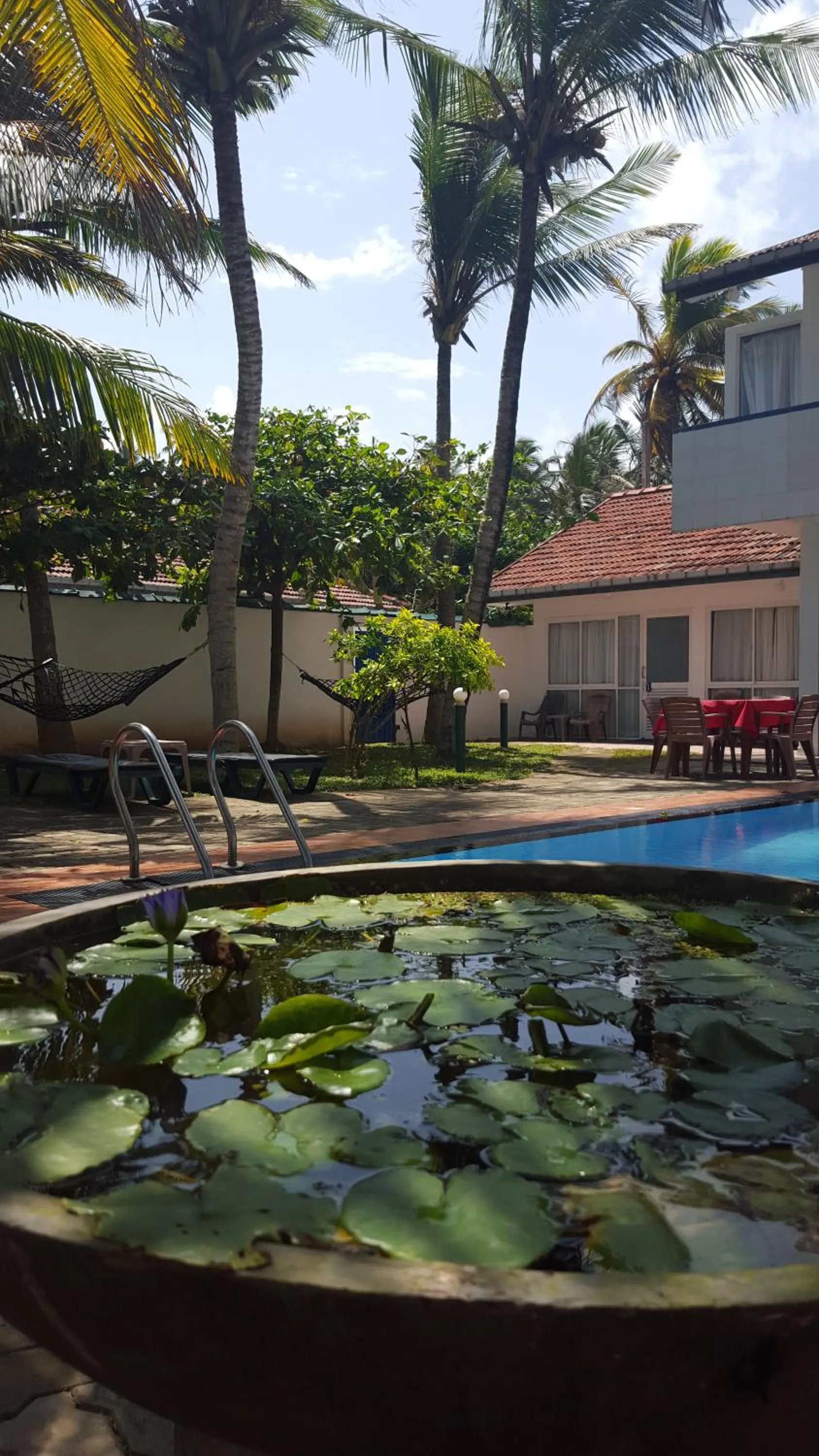 Swimming pool in Edelweiss Resort