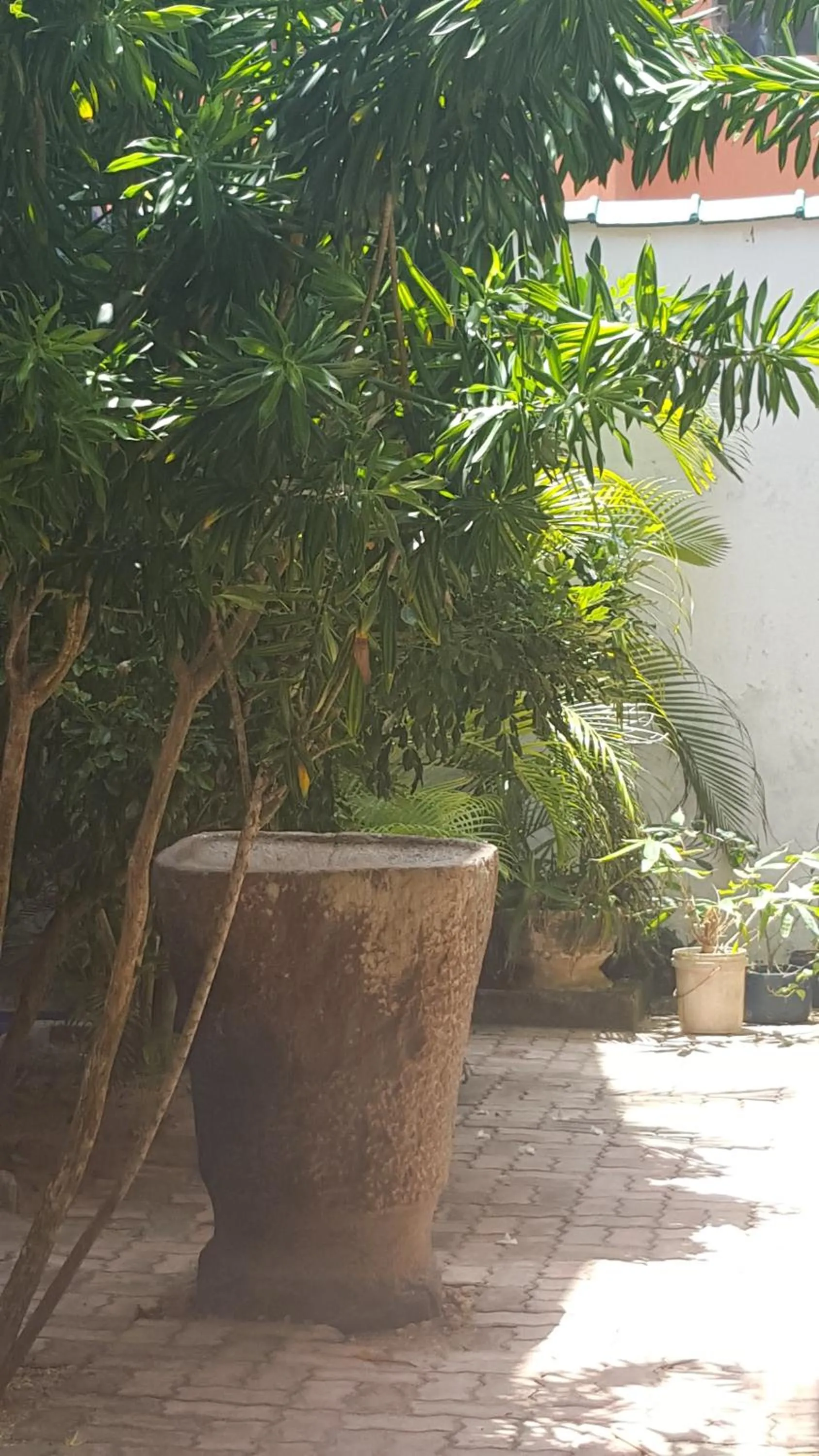 Garden in Edelweiss Resort