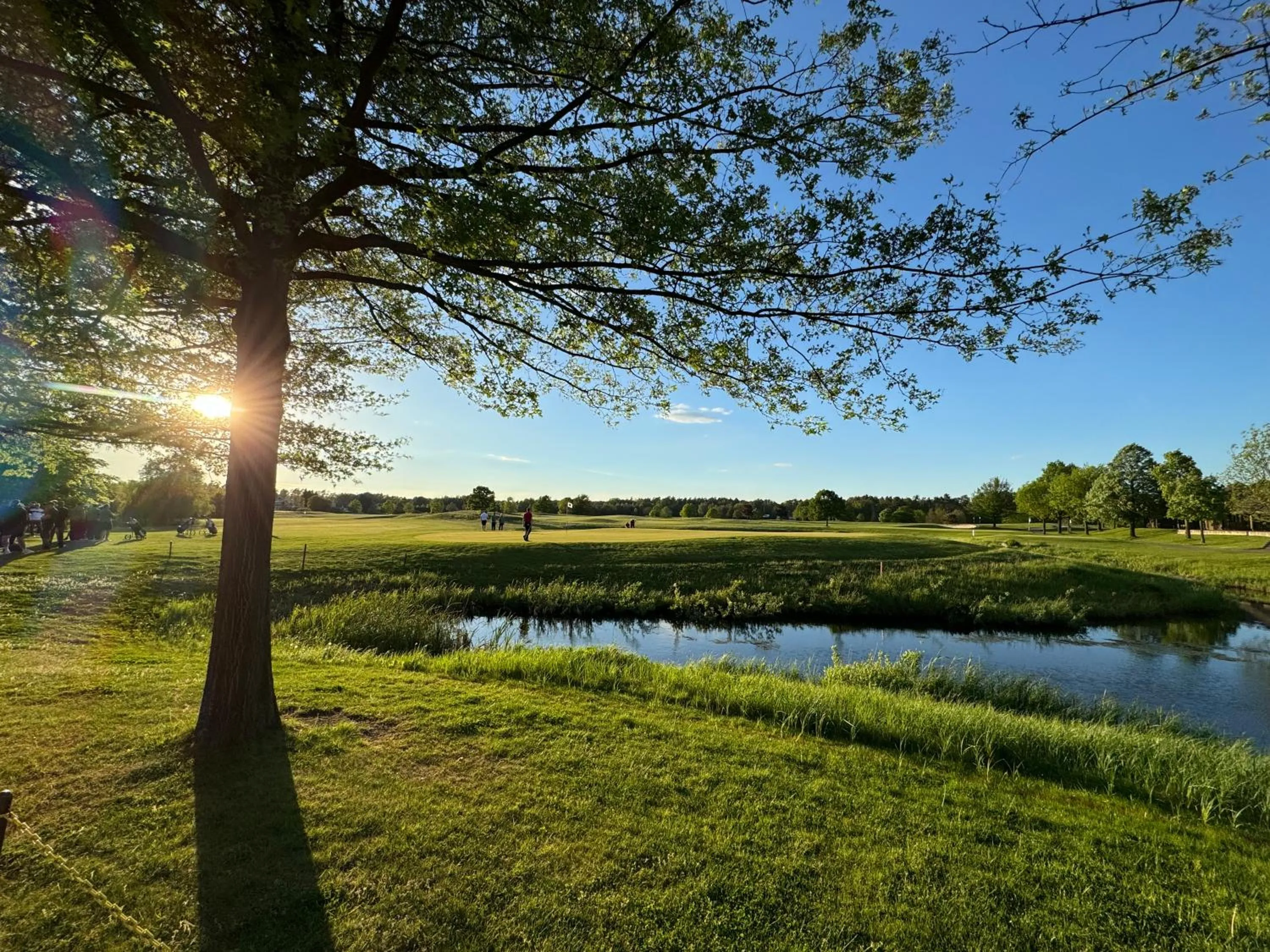Golfcourse in Hotel Zur Linde Dein Self Check In