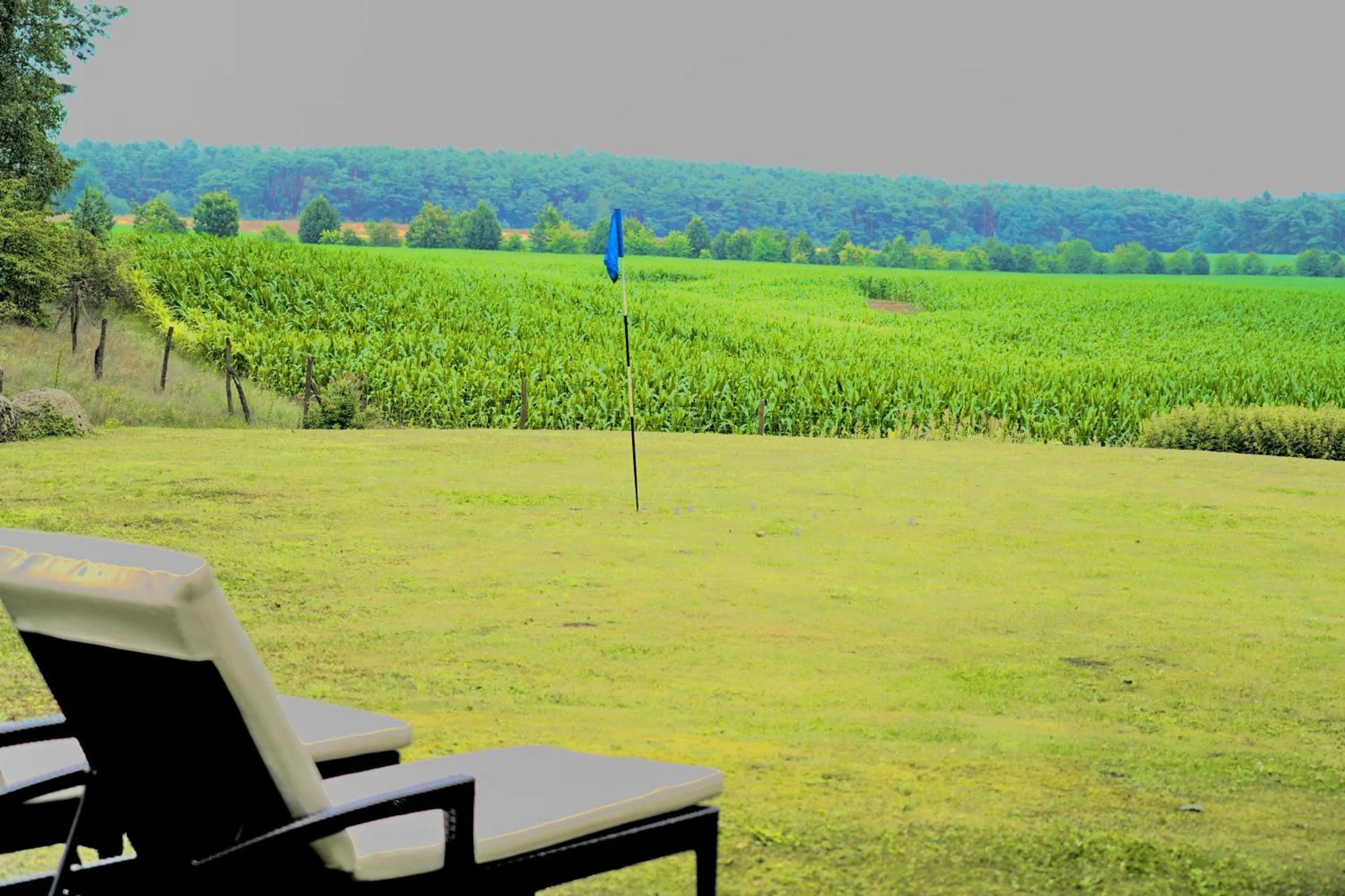 Garden in Hotel Zur Linde Dein Self Check In