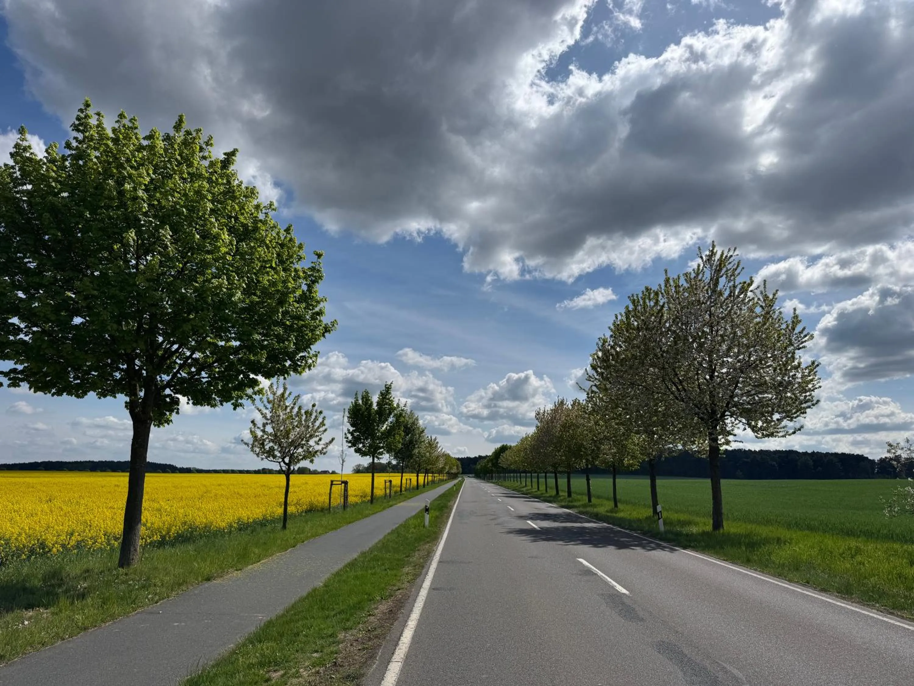 Seasons in Hotel Zur Linde Dein Self Check In