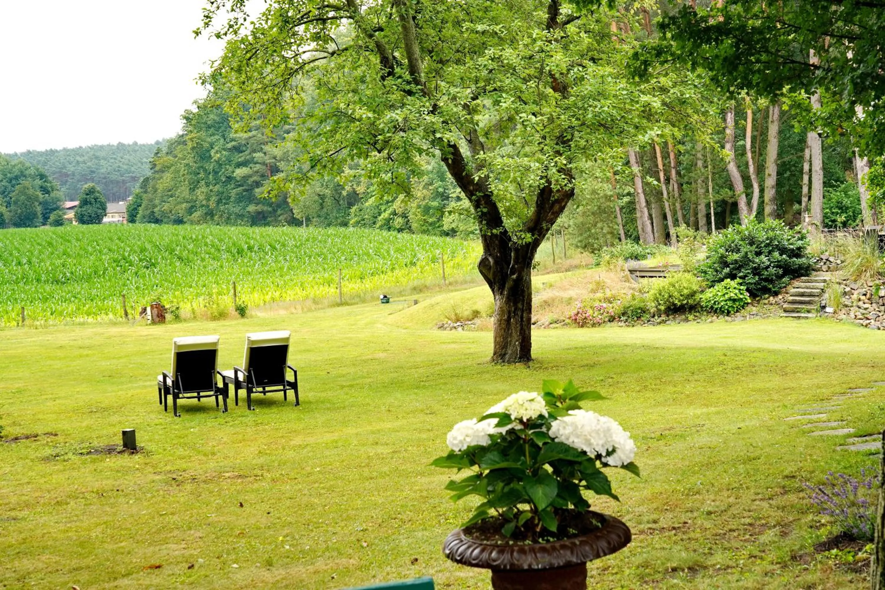 Garden in Hotel Zur Linde Dein Self Check In