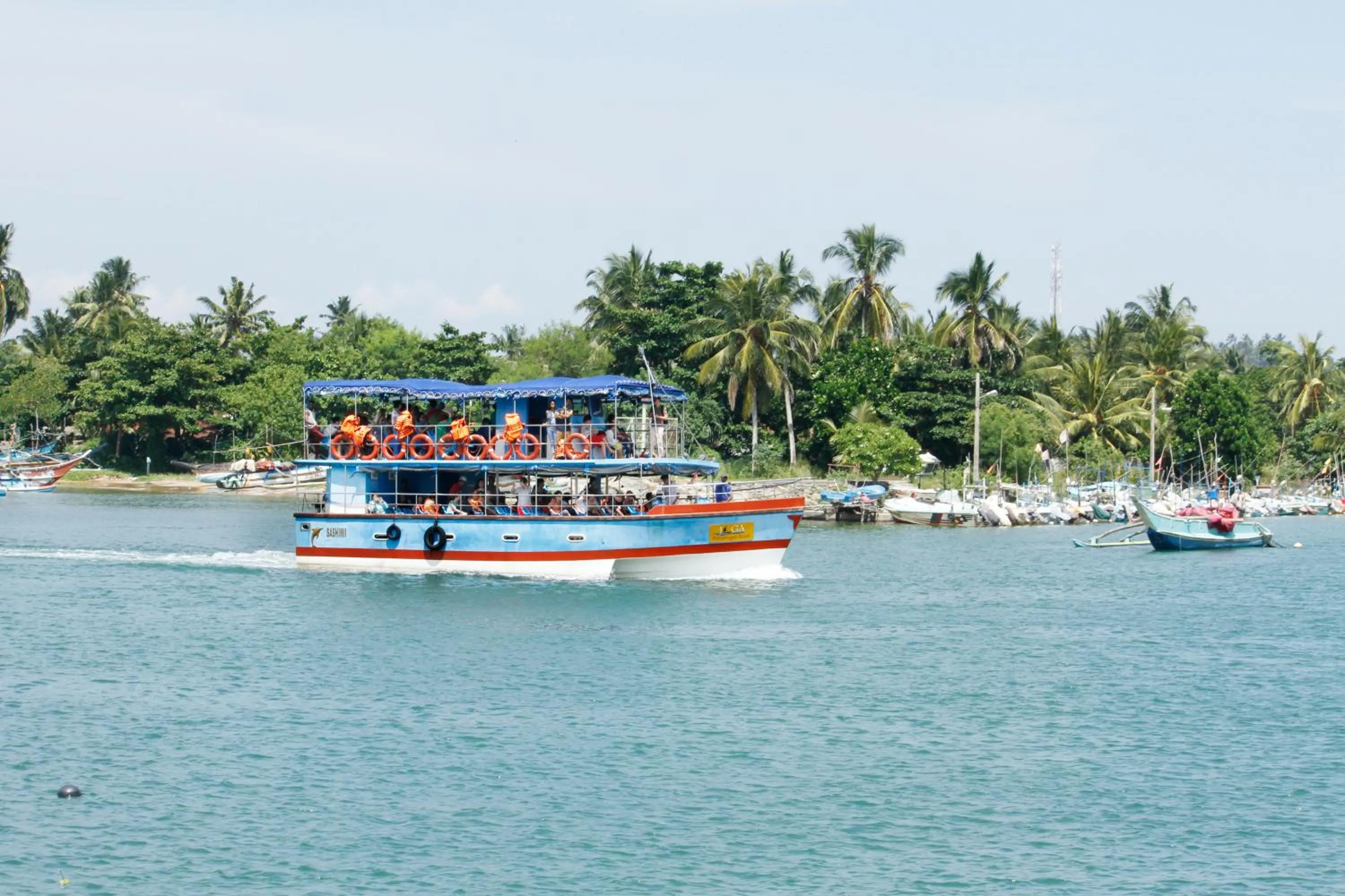 Other in Paradise Beach Resort & Diving school