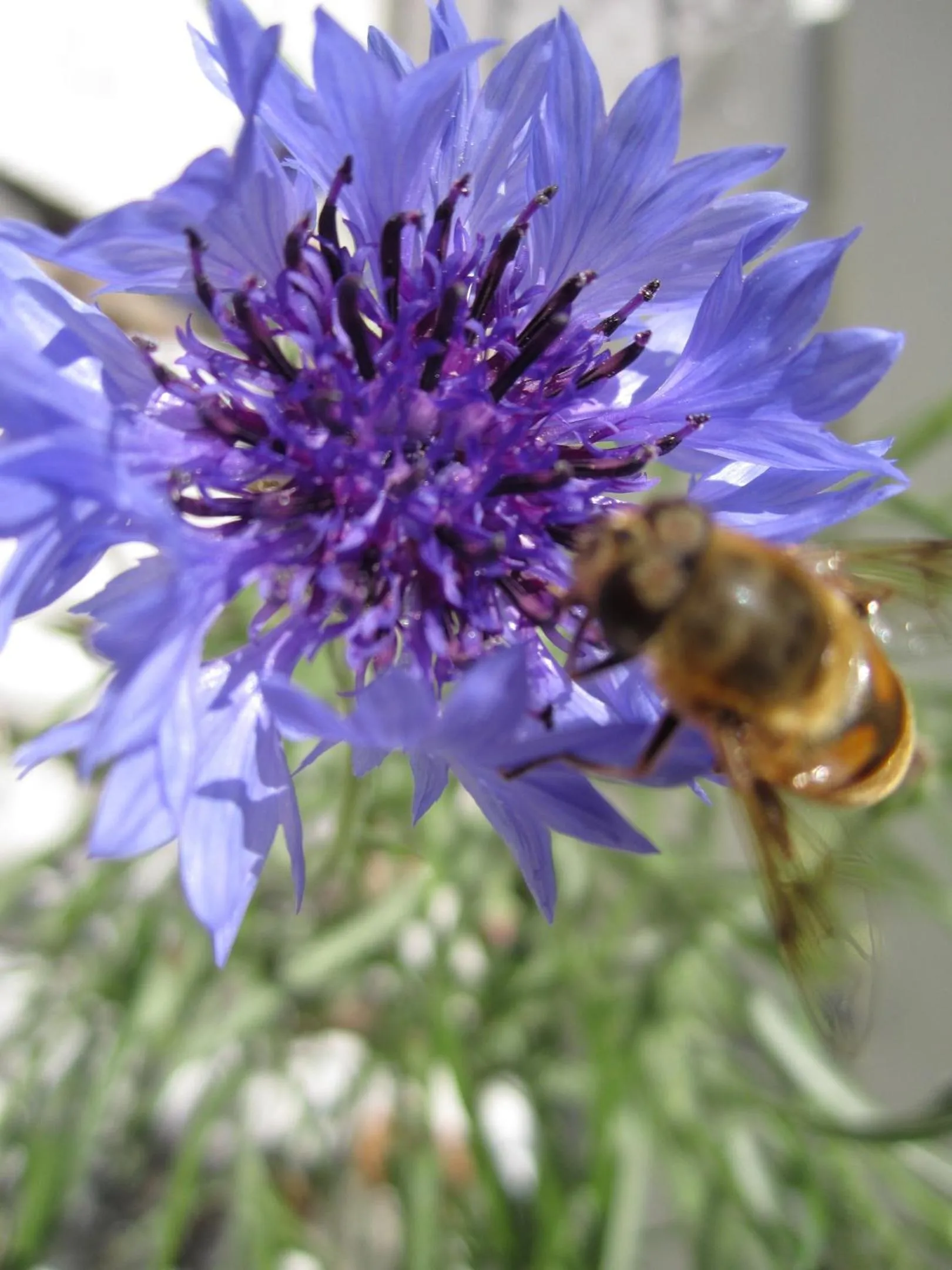 Summer in Residence Zum Theater