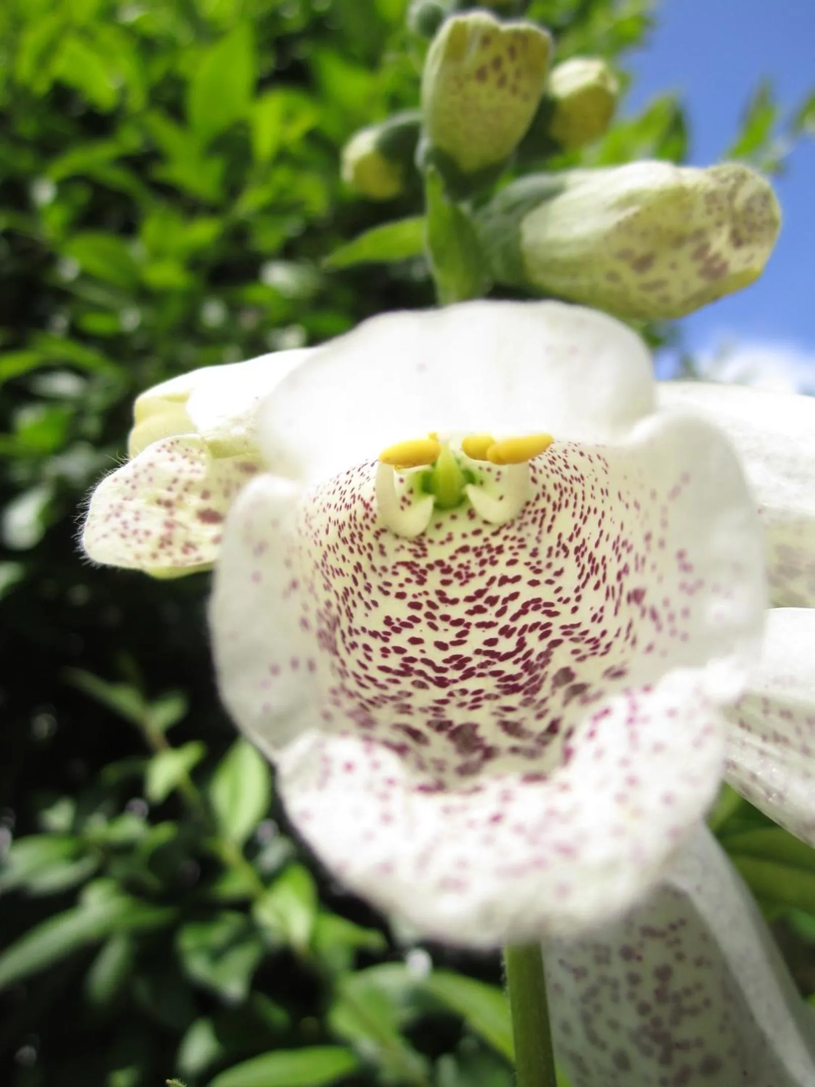 Summer in Residence Zum Theater