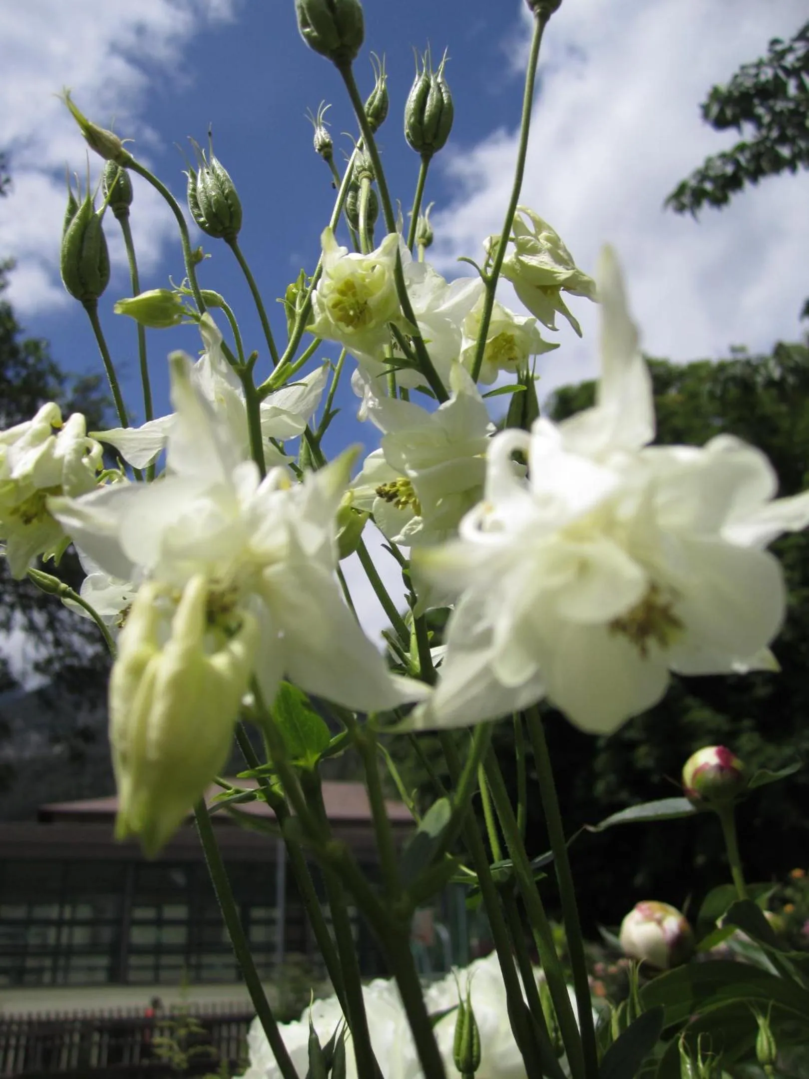 Spring in Residence Zum Theater