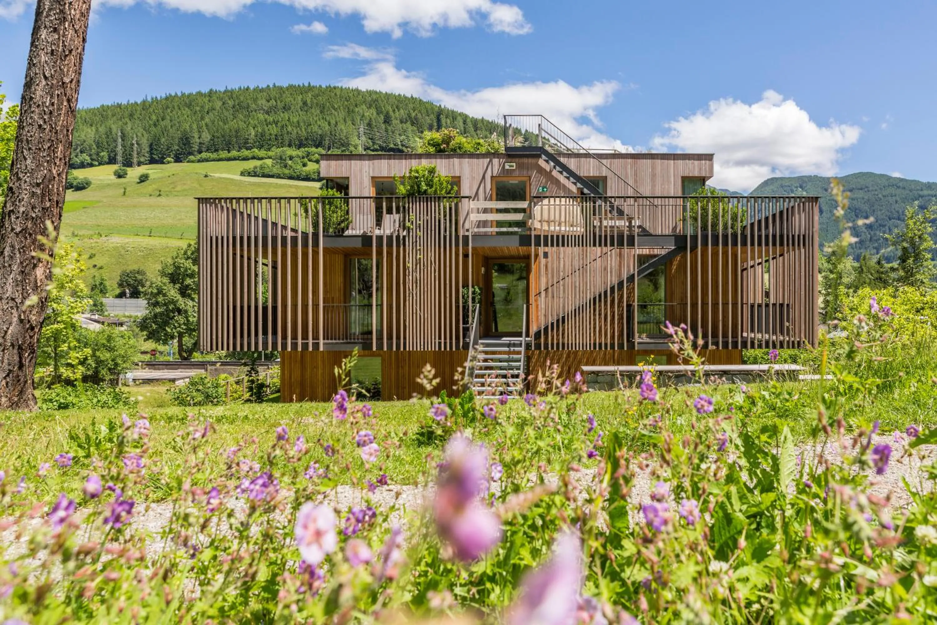 Property building in Steindl's Boutique Hotel