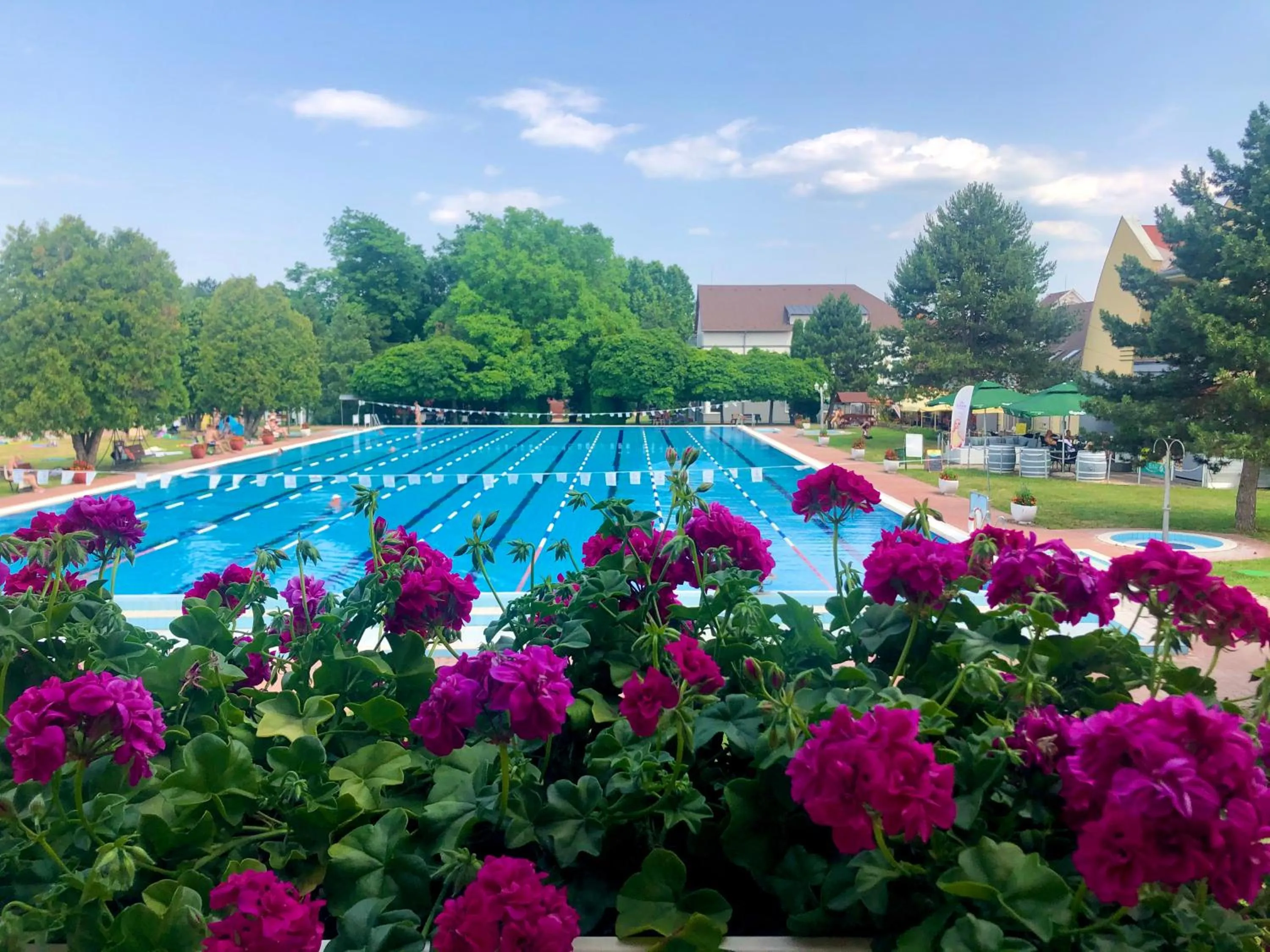 View (from property/room) in Hét Vezér Apartmanhotel