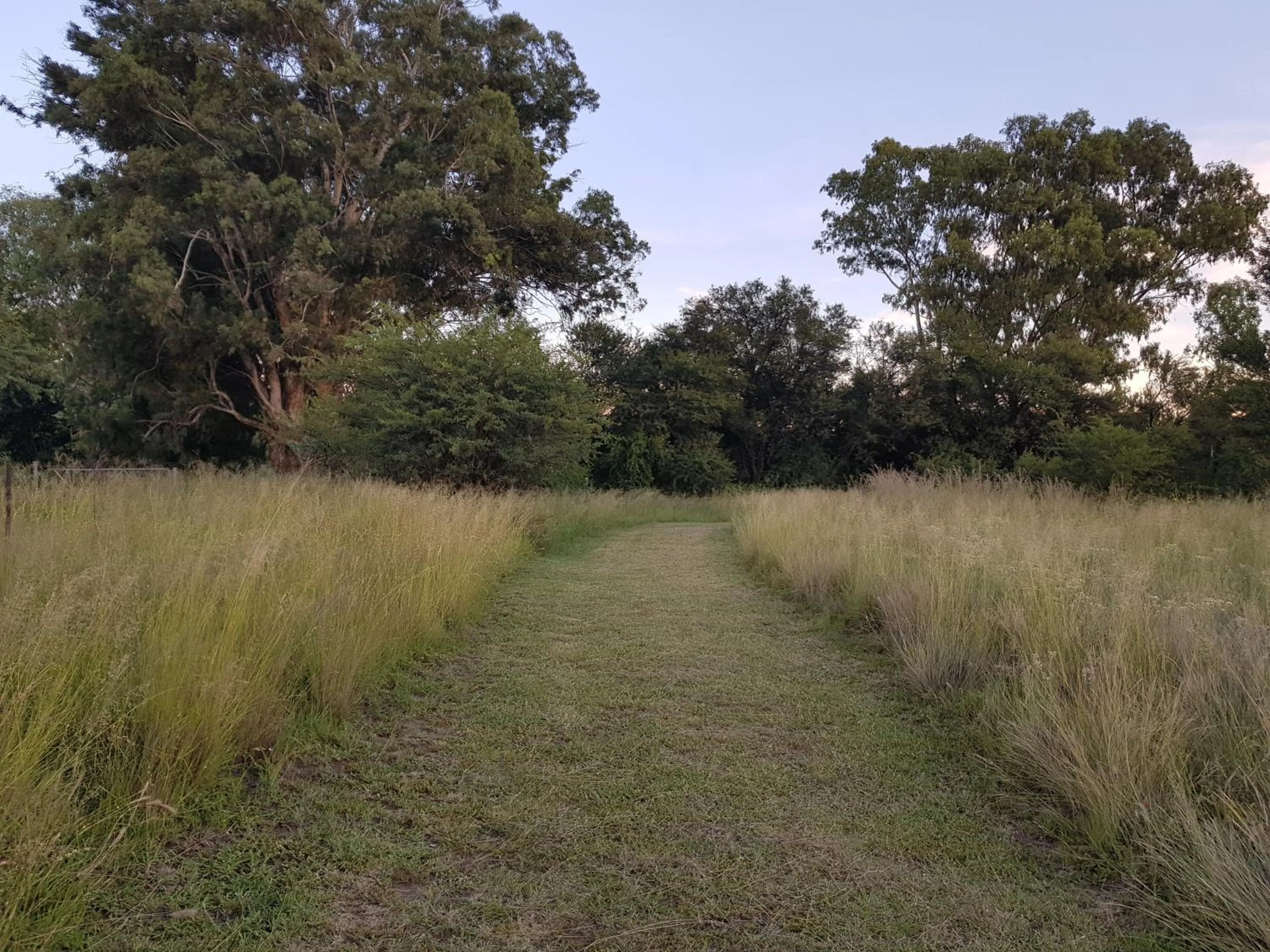 Natural landscape in Mountain View Country Estate