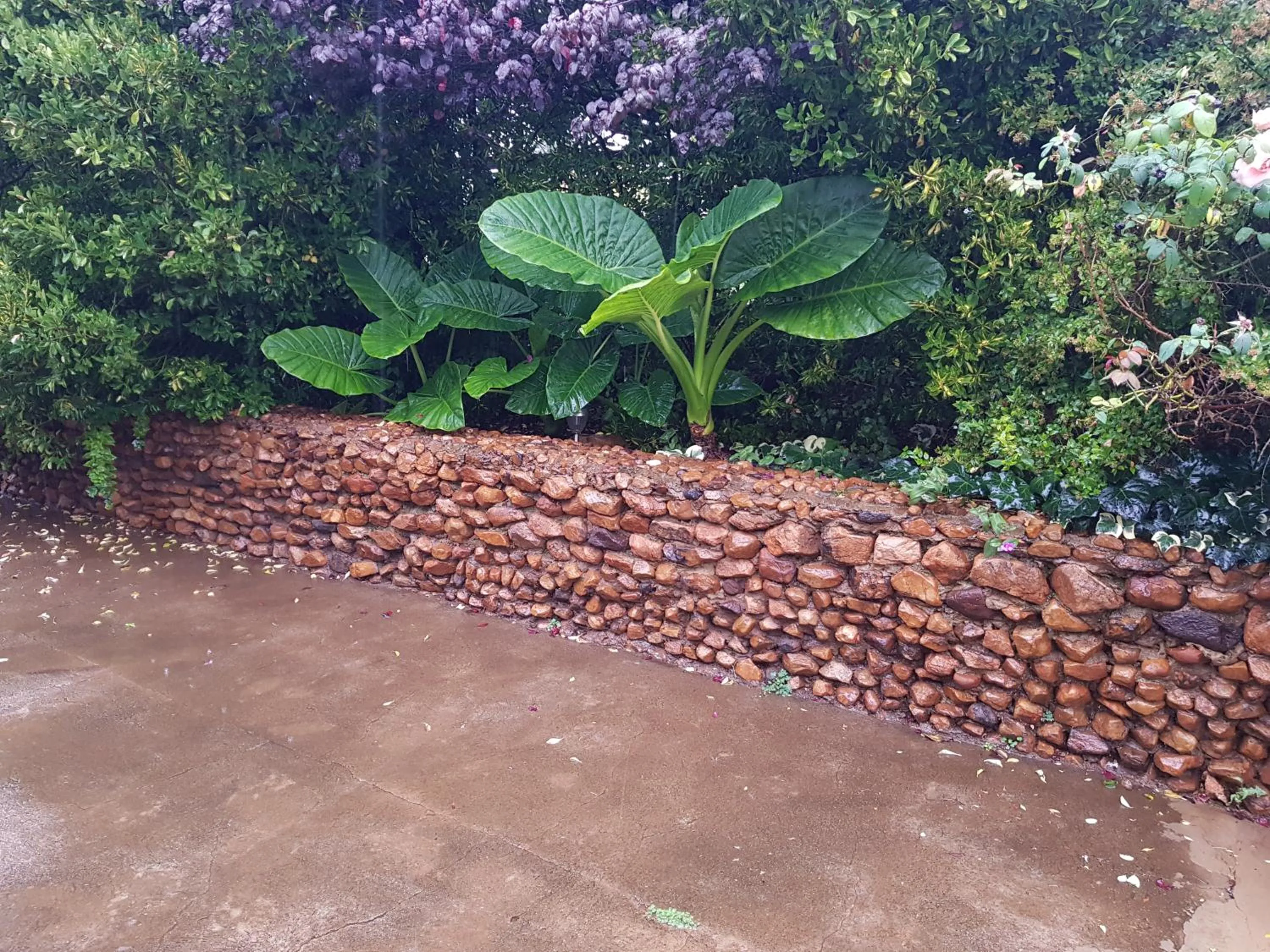 Garden in Mountain View Country Estate