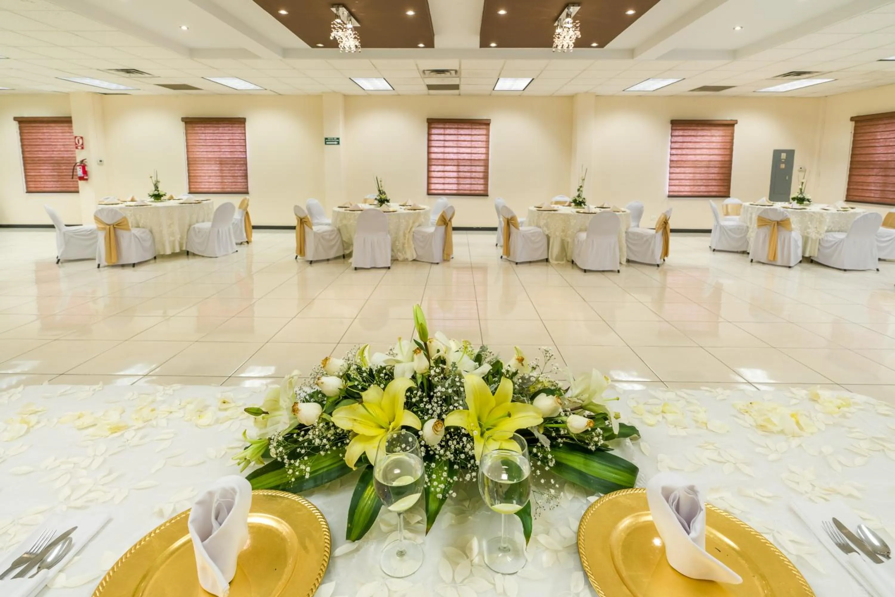 Banquet/Function facilities in Hotel Sntenario