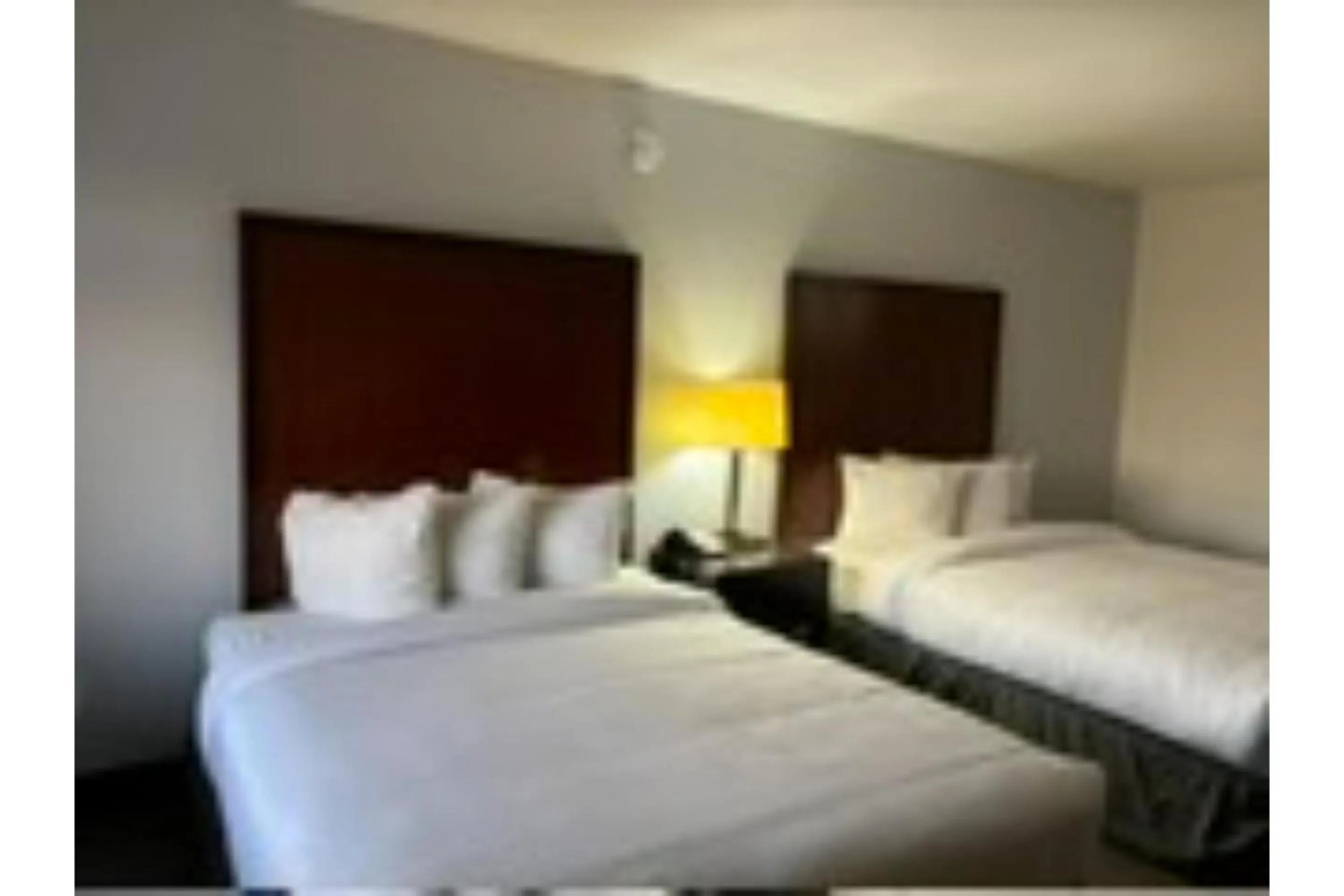 Bedroom, Bed in Motel 6 Mesa, AZ - Downtown