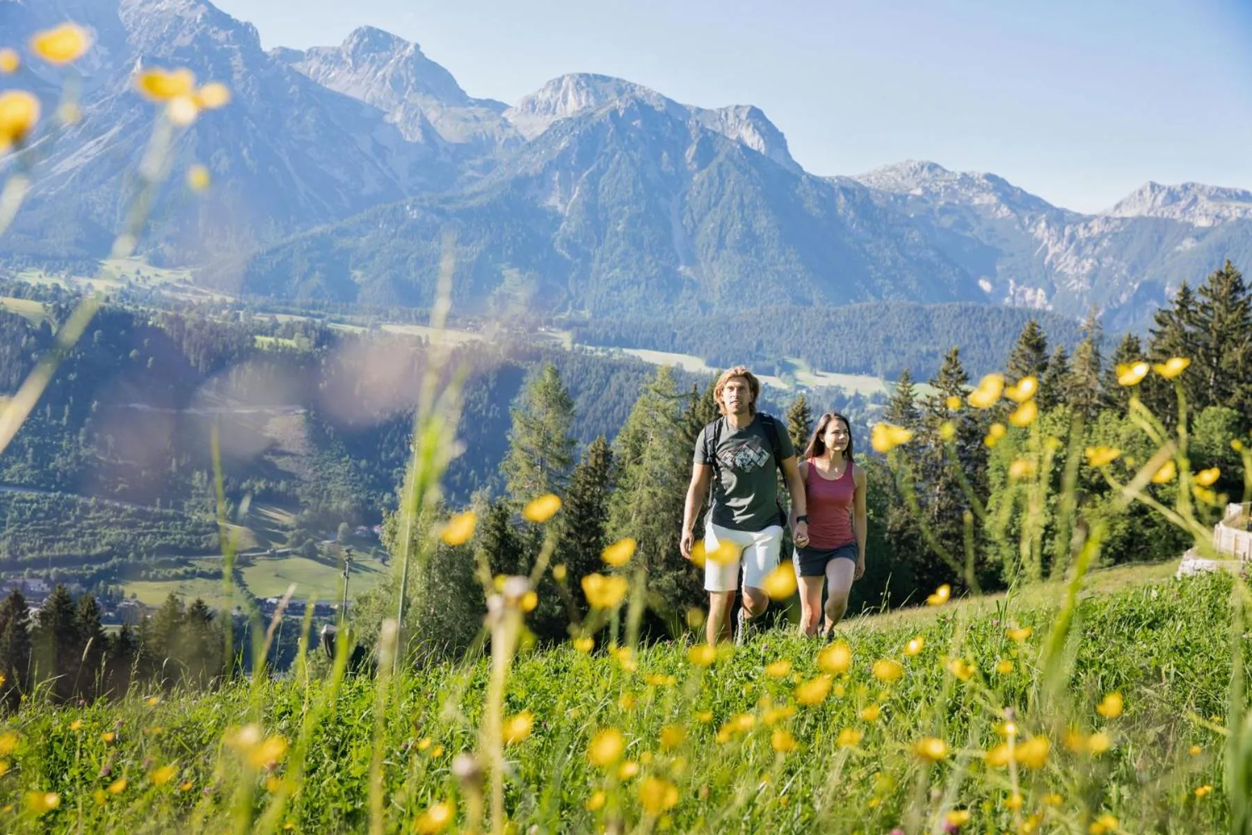 Natural landscape in Holzhackerin - the charming Haus am Berg
