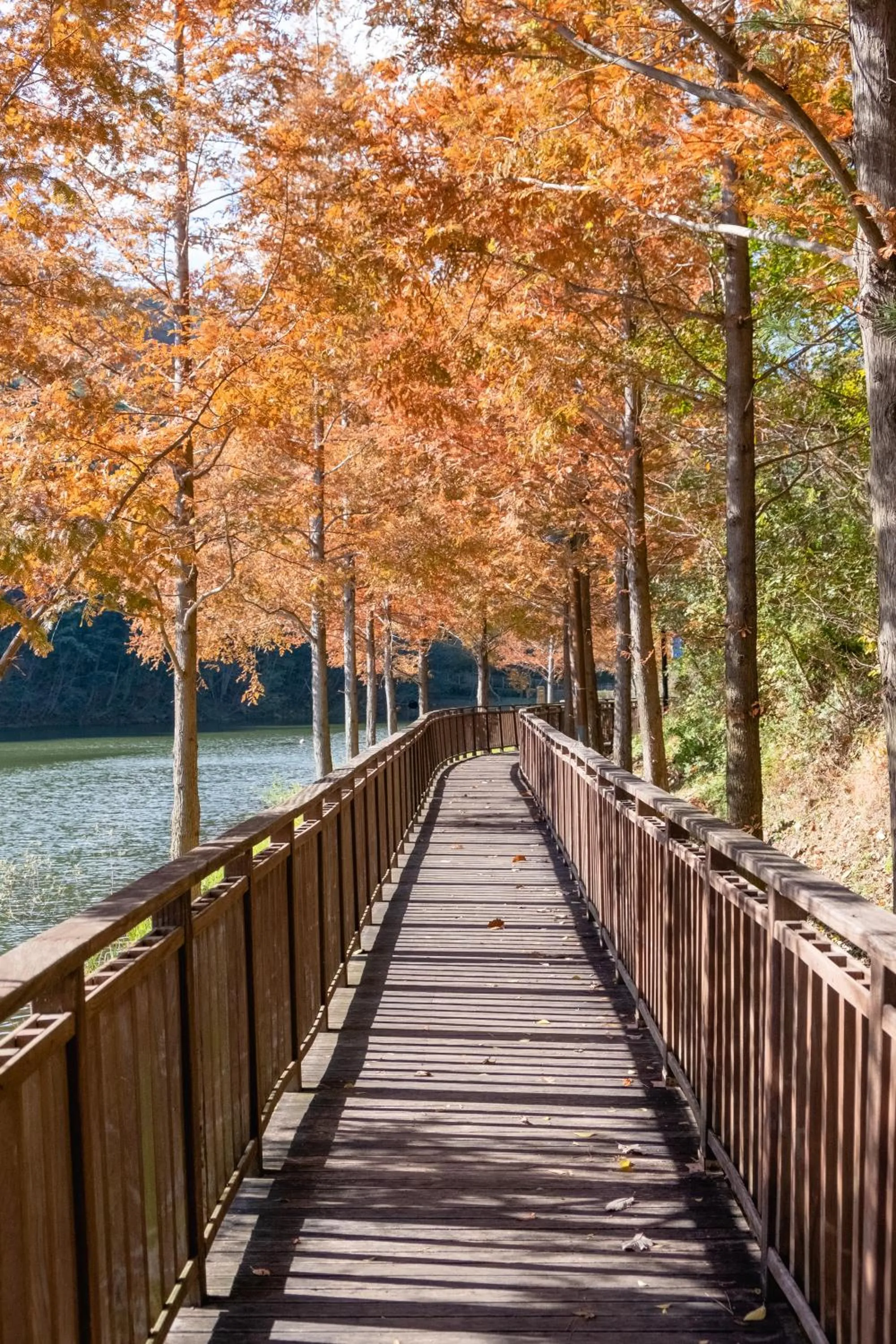 Nearby landmark in Kenny Stay Busan Gijang