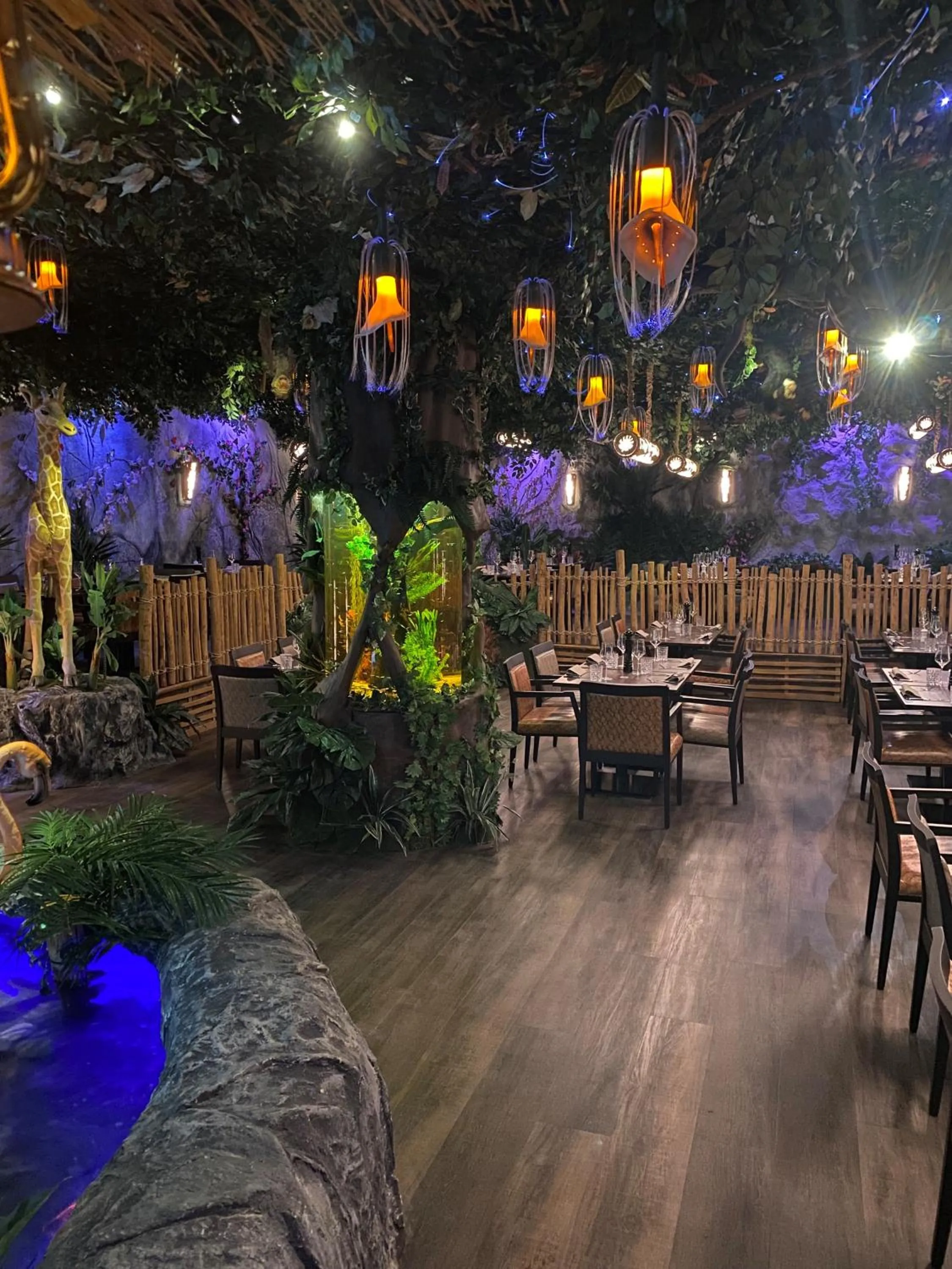 Restaurant/places to eat in Bayside