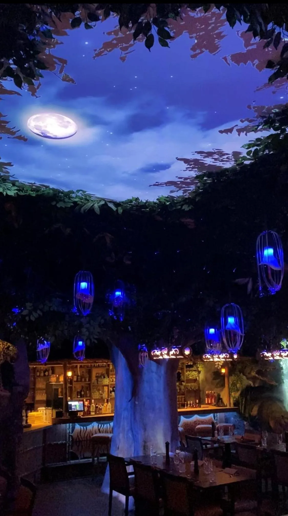 Restaurant/places to eat in Bayside