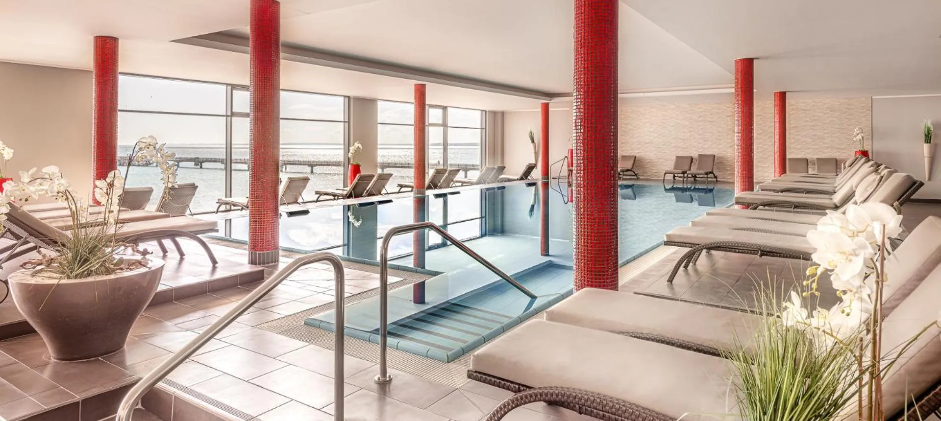 Swimming pool in Bayside