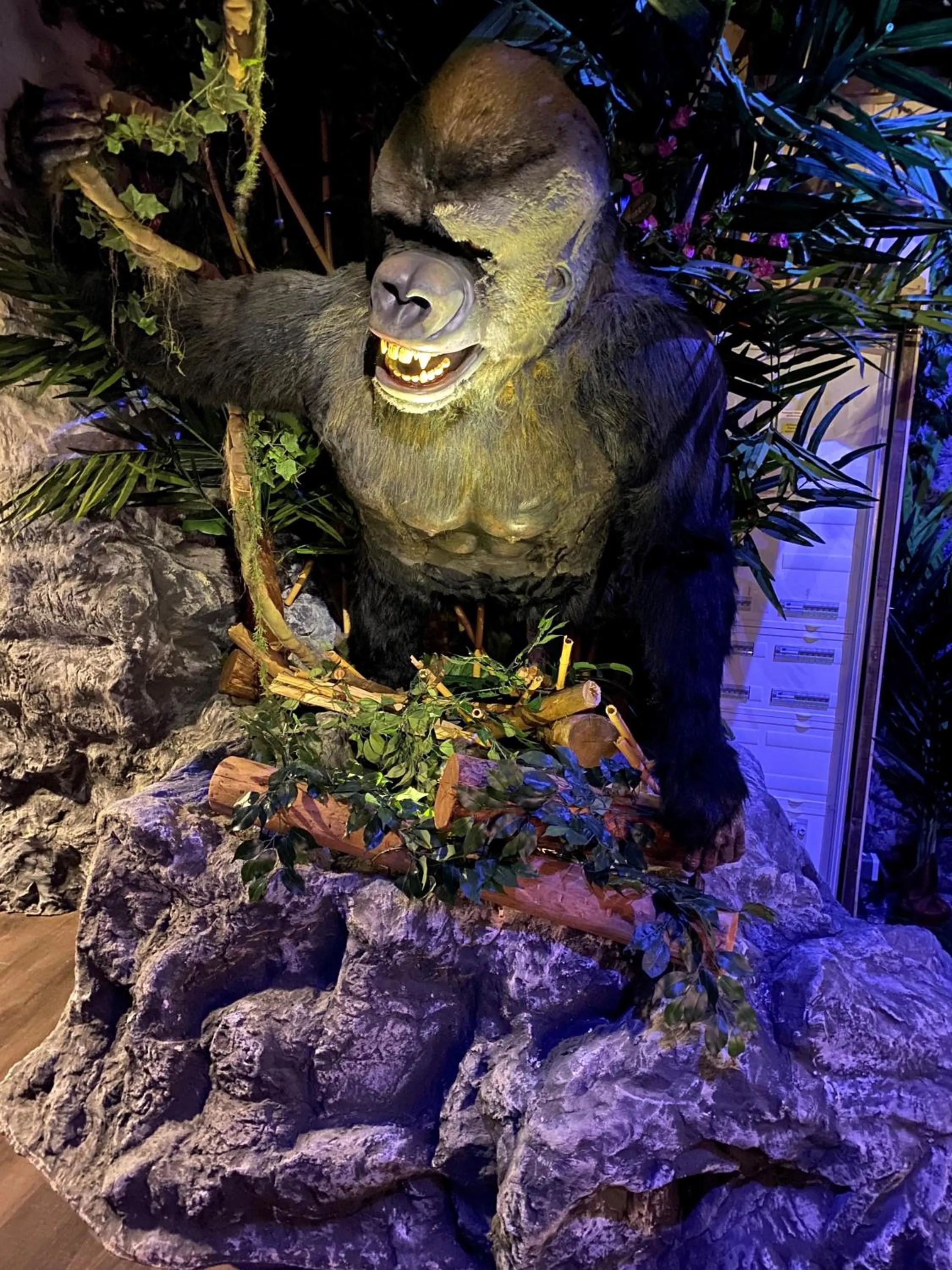 Restaurant/places to eat in Bayside