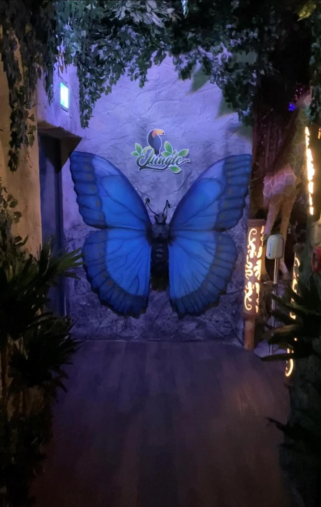 Restaurant/places to eat in Bayside