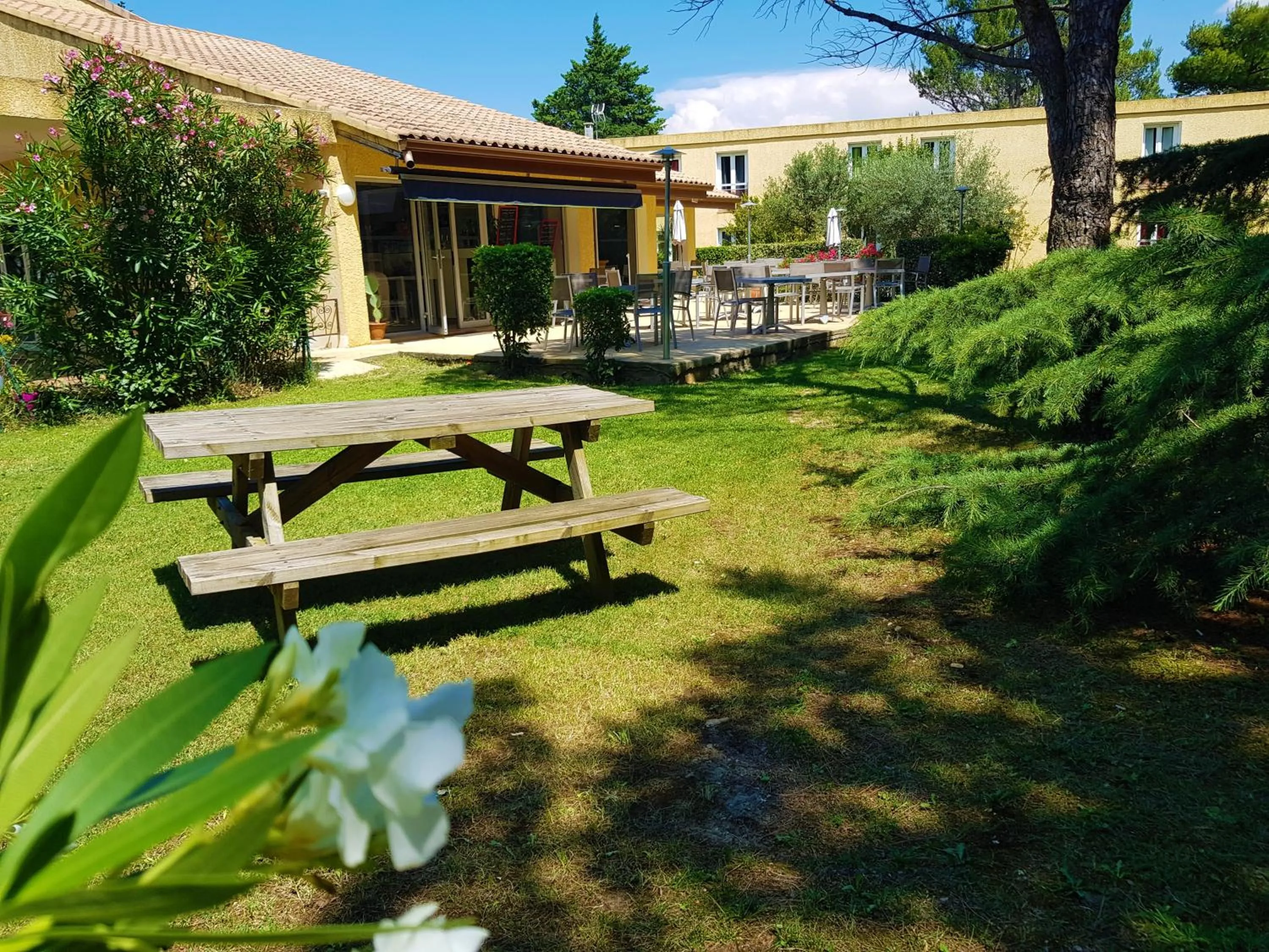 Garden in Hôtel Restaurant Le Mas De L'Olivier