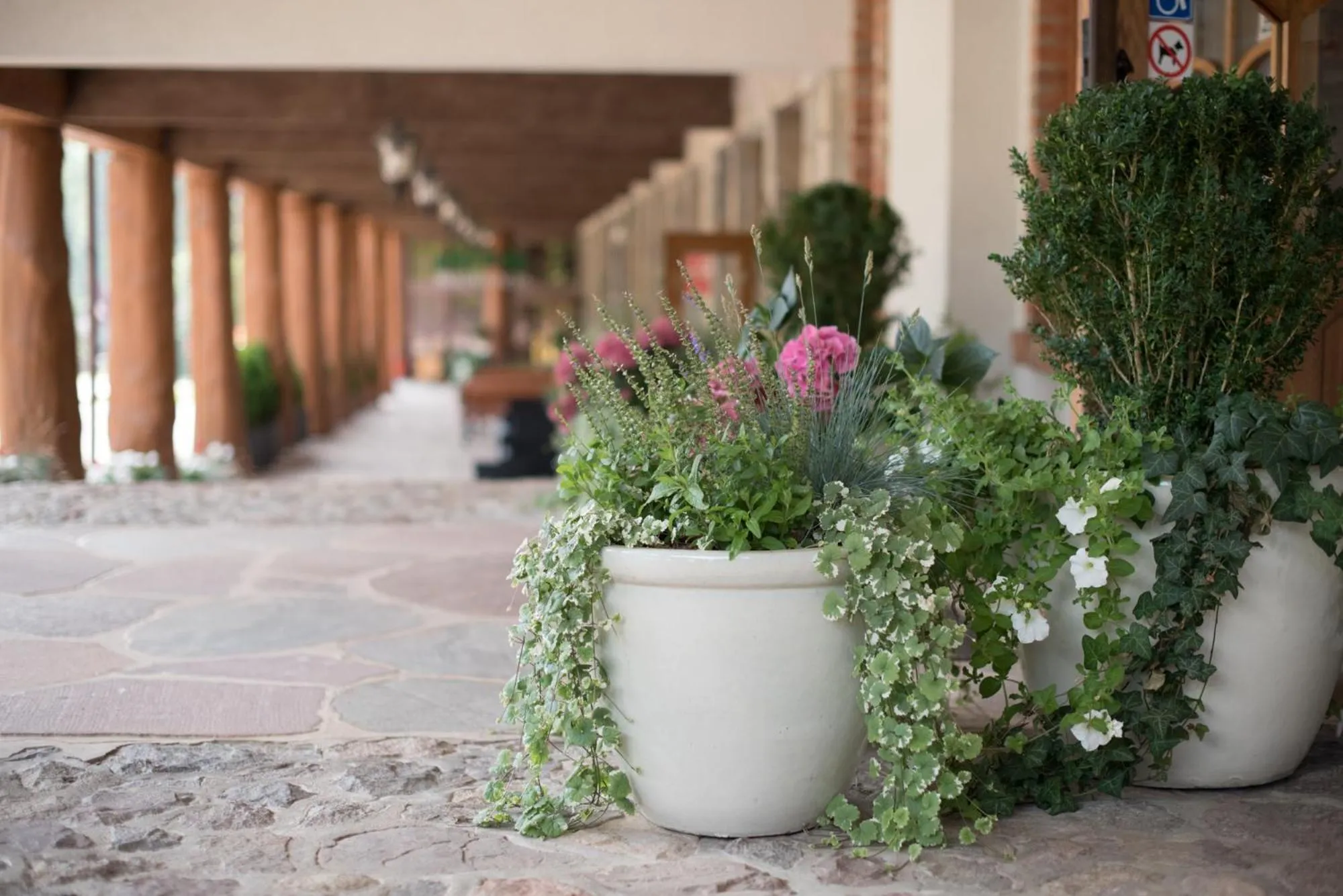 Property building in Hotel Szymbark