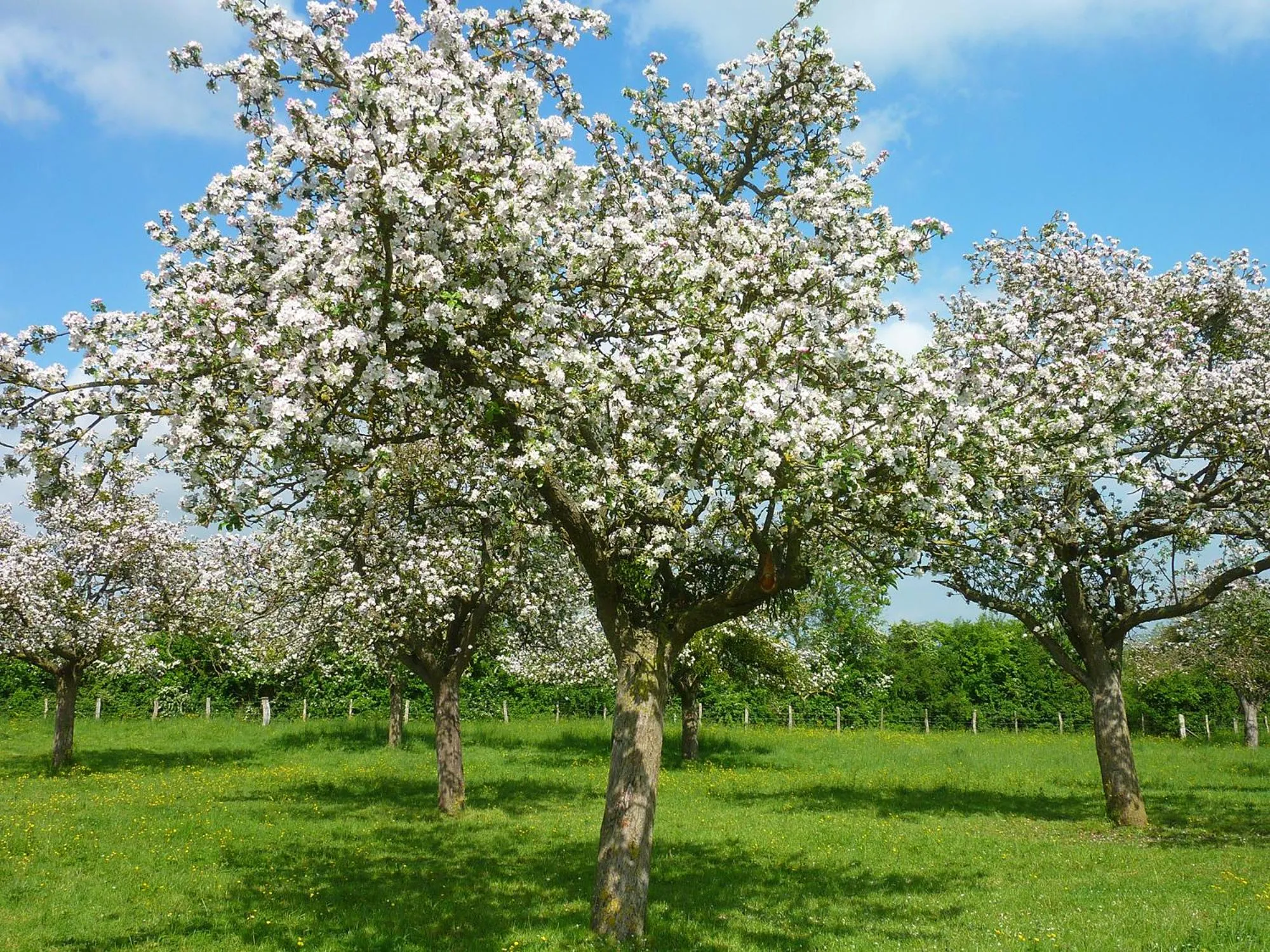 Natural landscape in Le Vauban