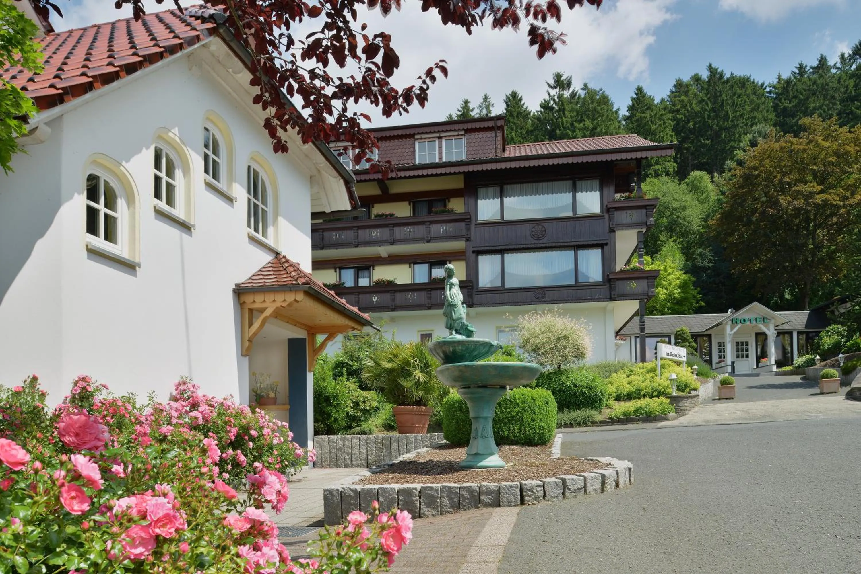 Facade/entrance in Hotel Zum weißen Stein