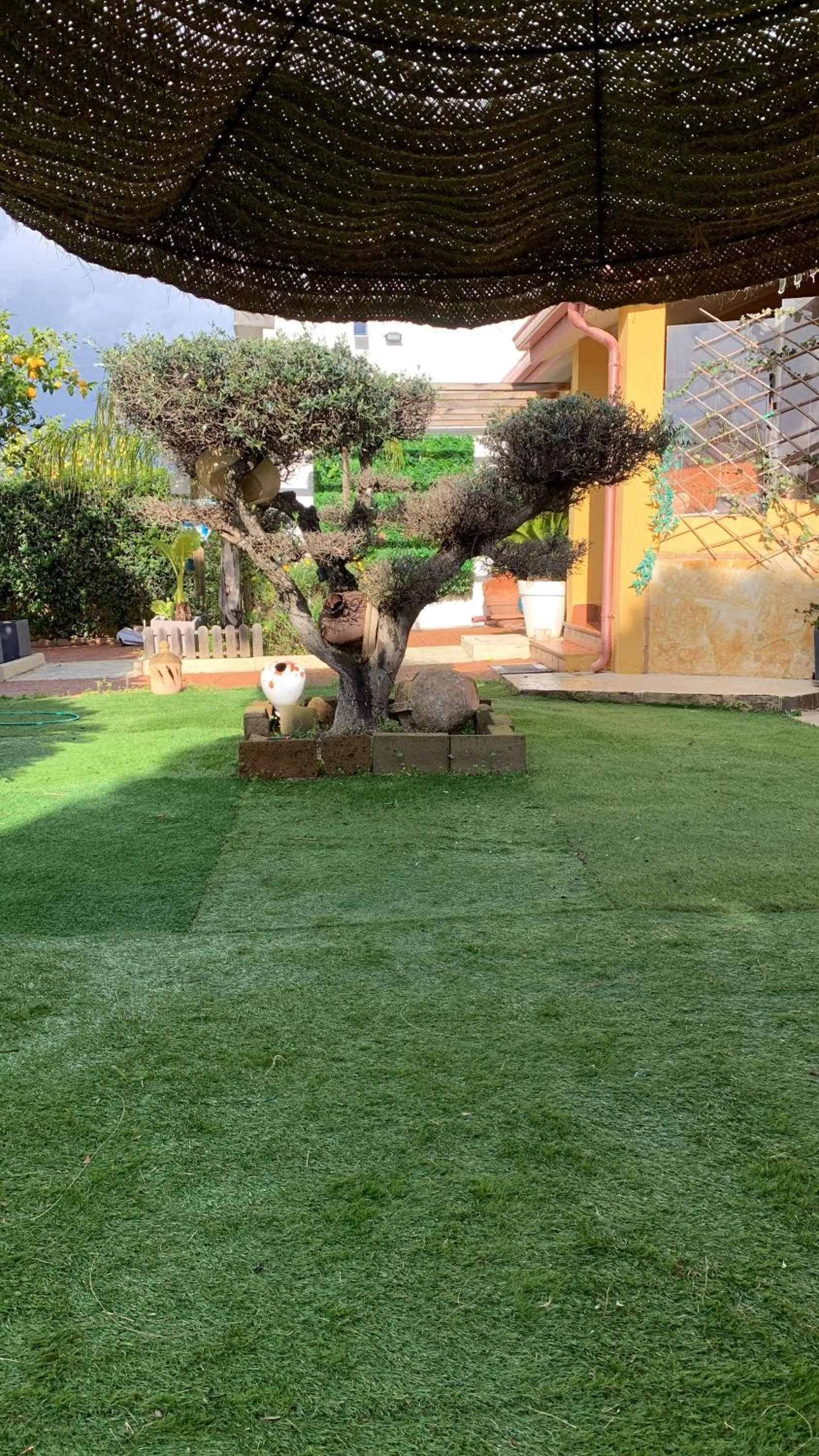 Garden view in L'Oasi Di Franco