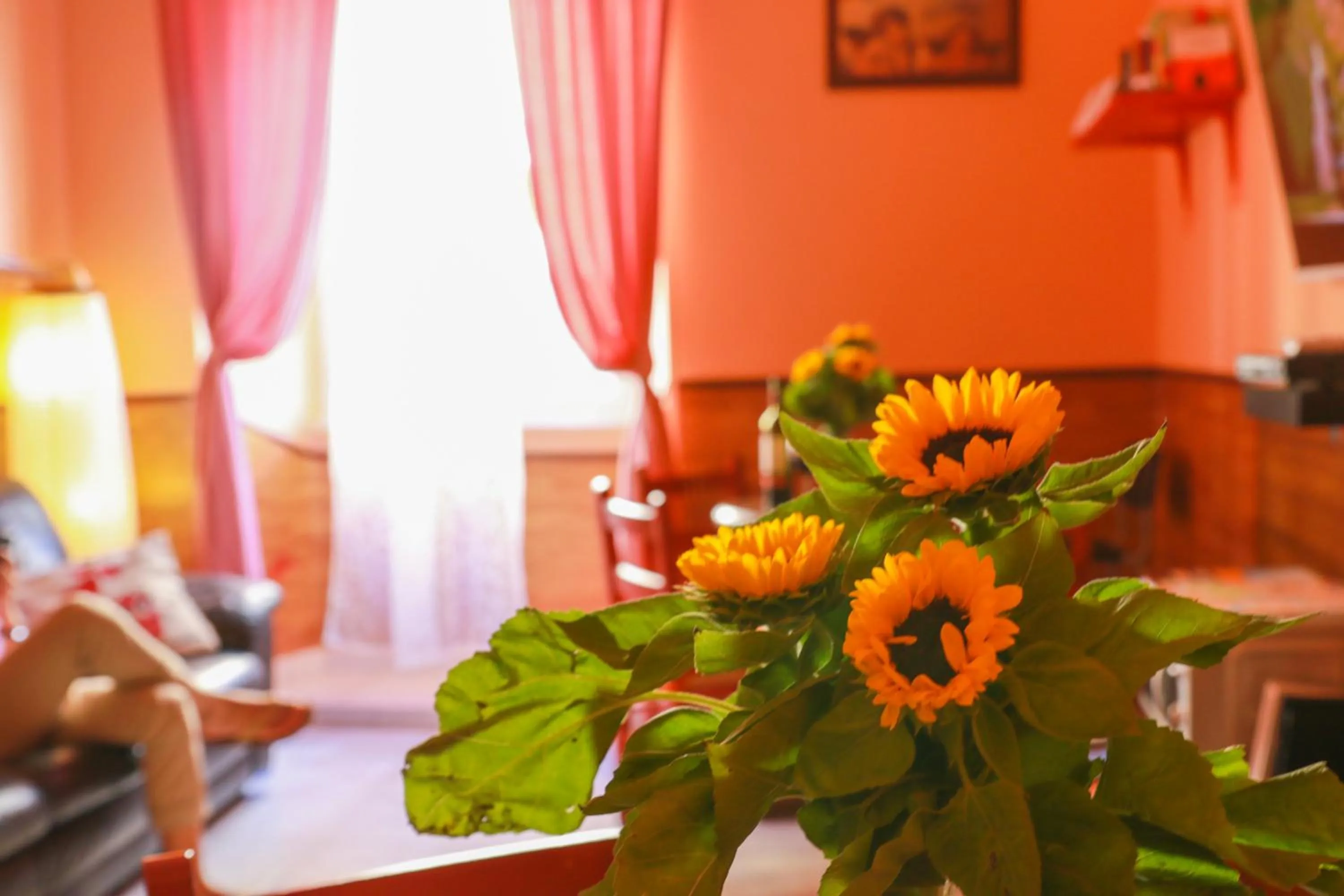 Area and facilities in Român Holidays