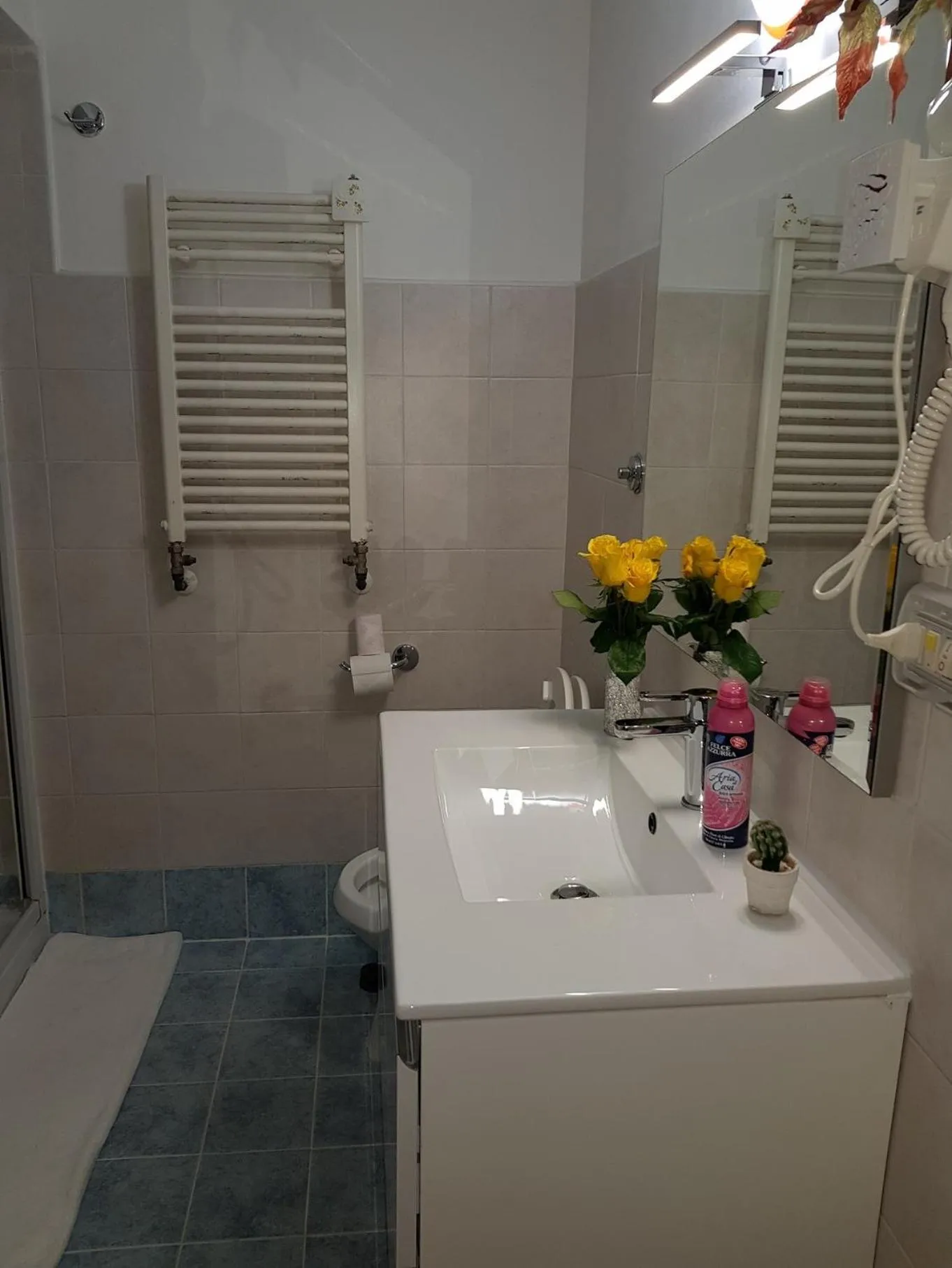 Bathroom in Român Holidays