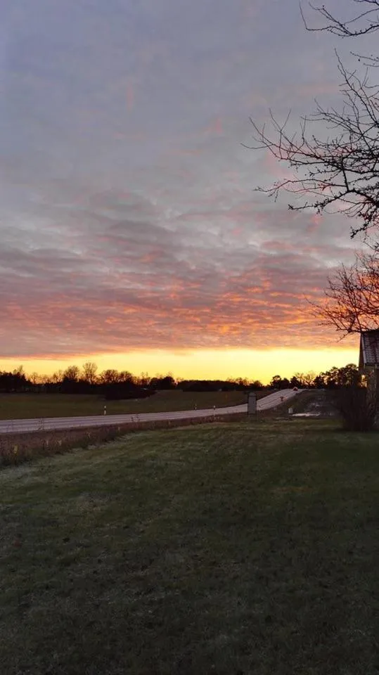 Natural landscape in Håknäs Vandrarhem