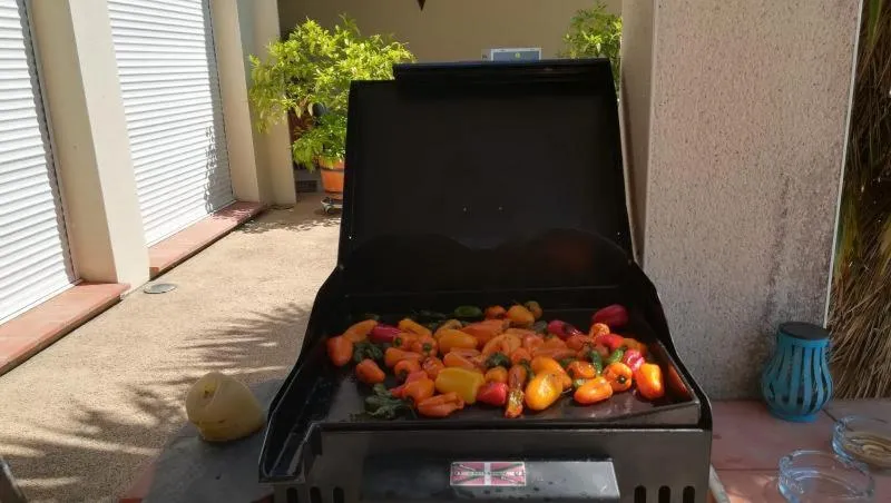 BBQ facilities in Domaine de Cayre