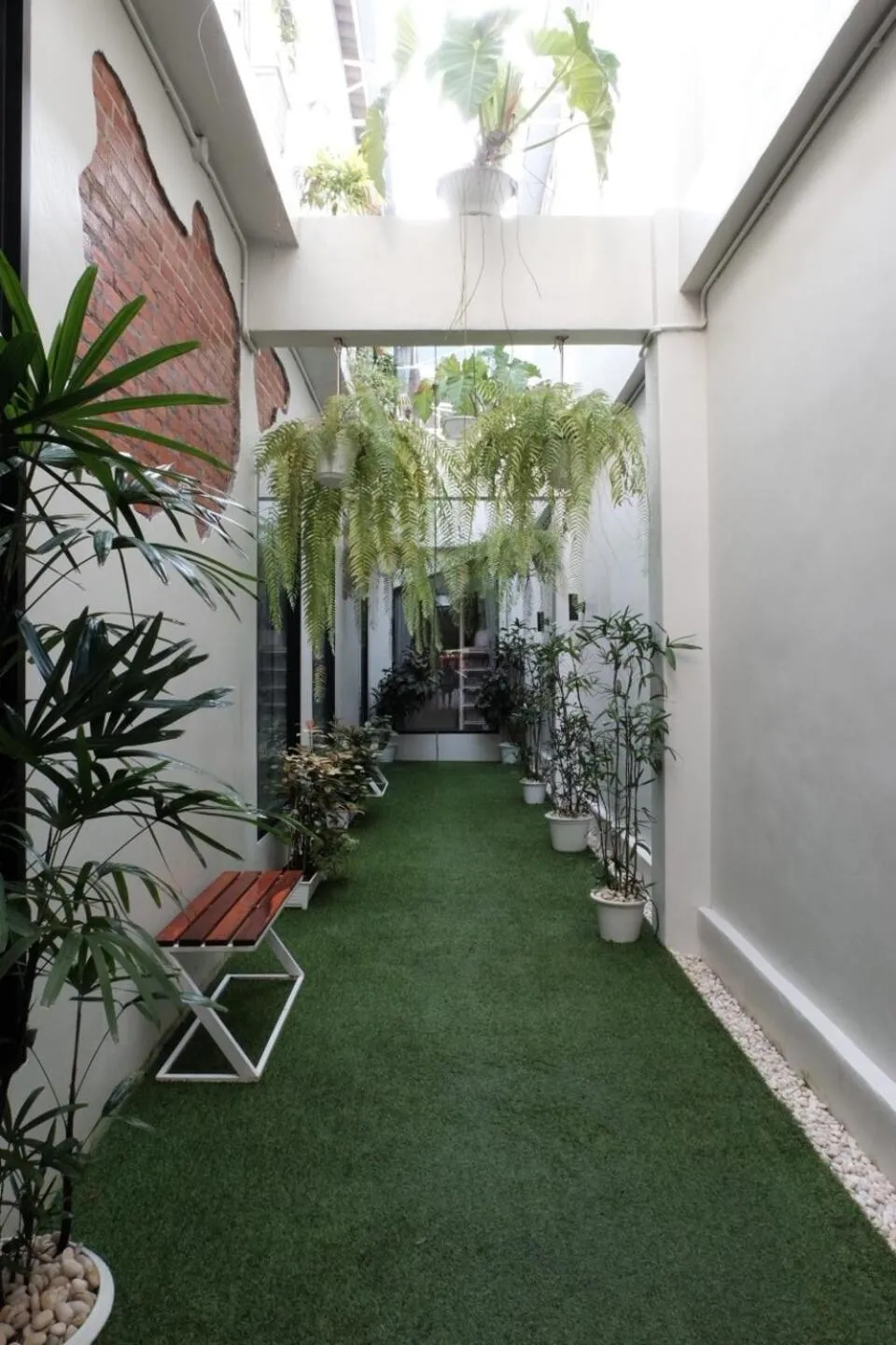 Garden in THE BELONG BOUTIQUE HOTEL
