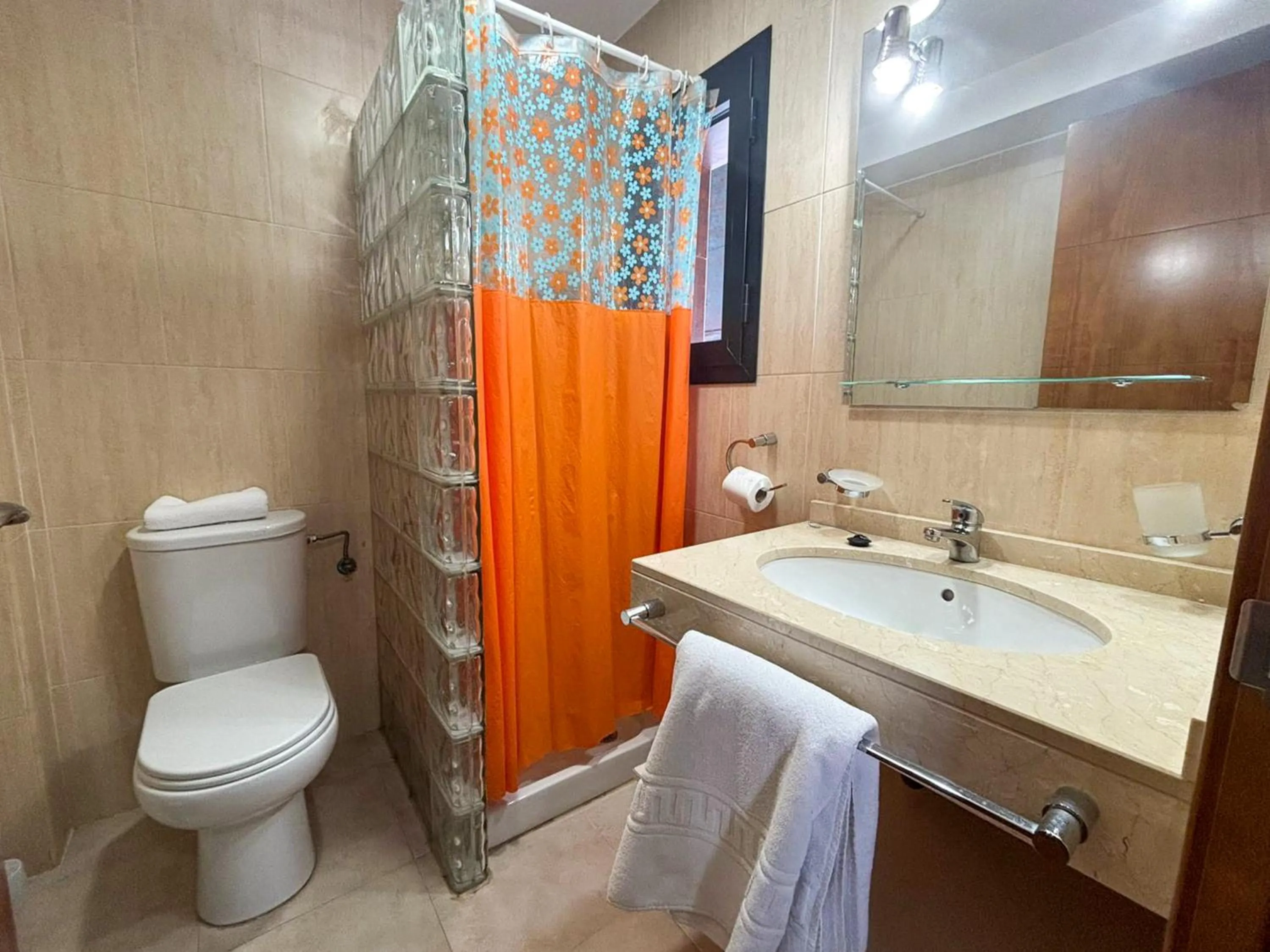 Bathroom in Apartamentos Sierra Nevada 3000