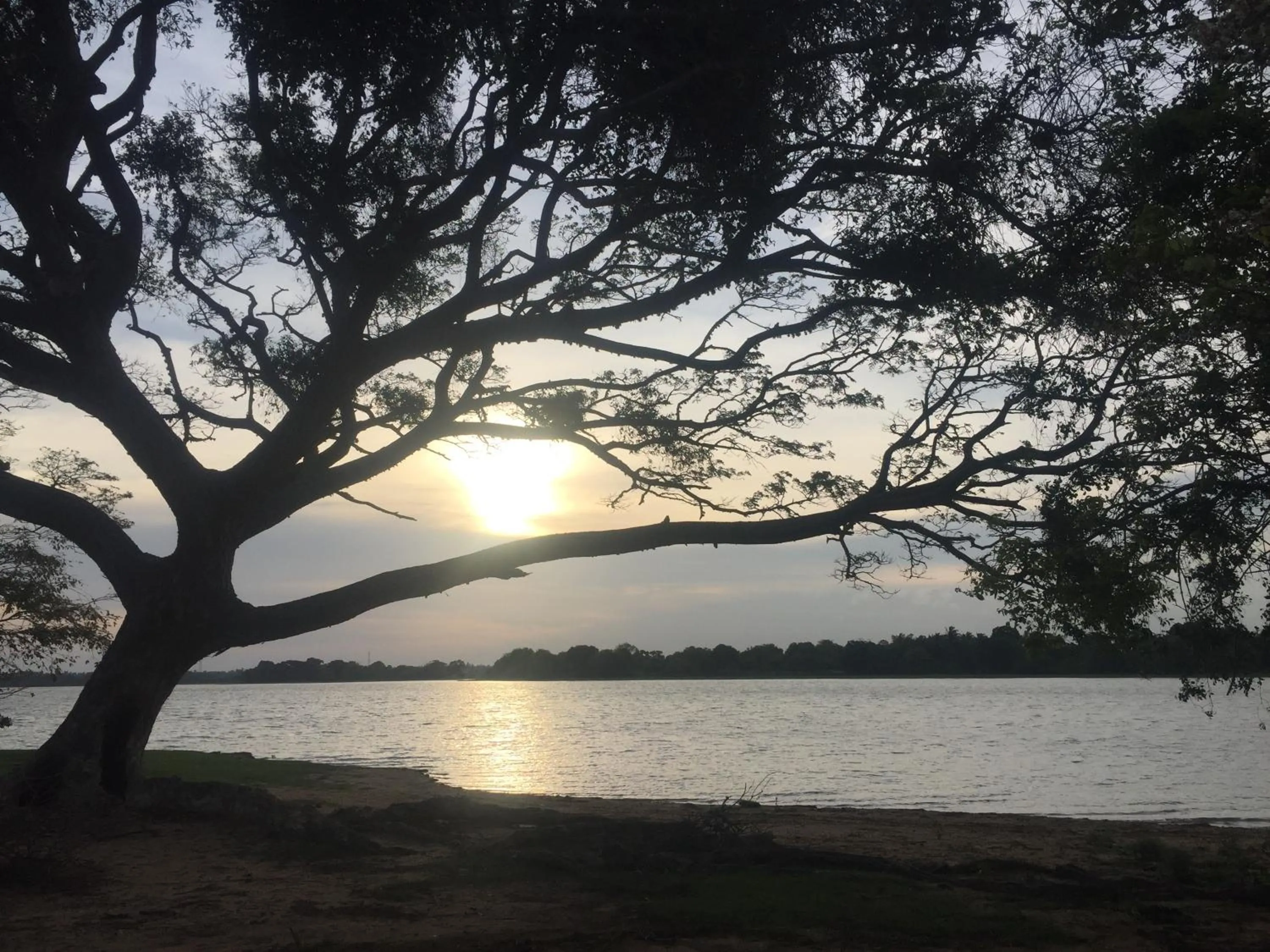 Sunrise in Saffron Lake Yala