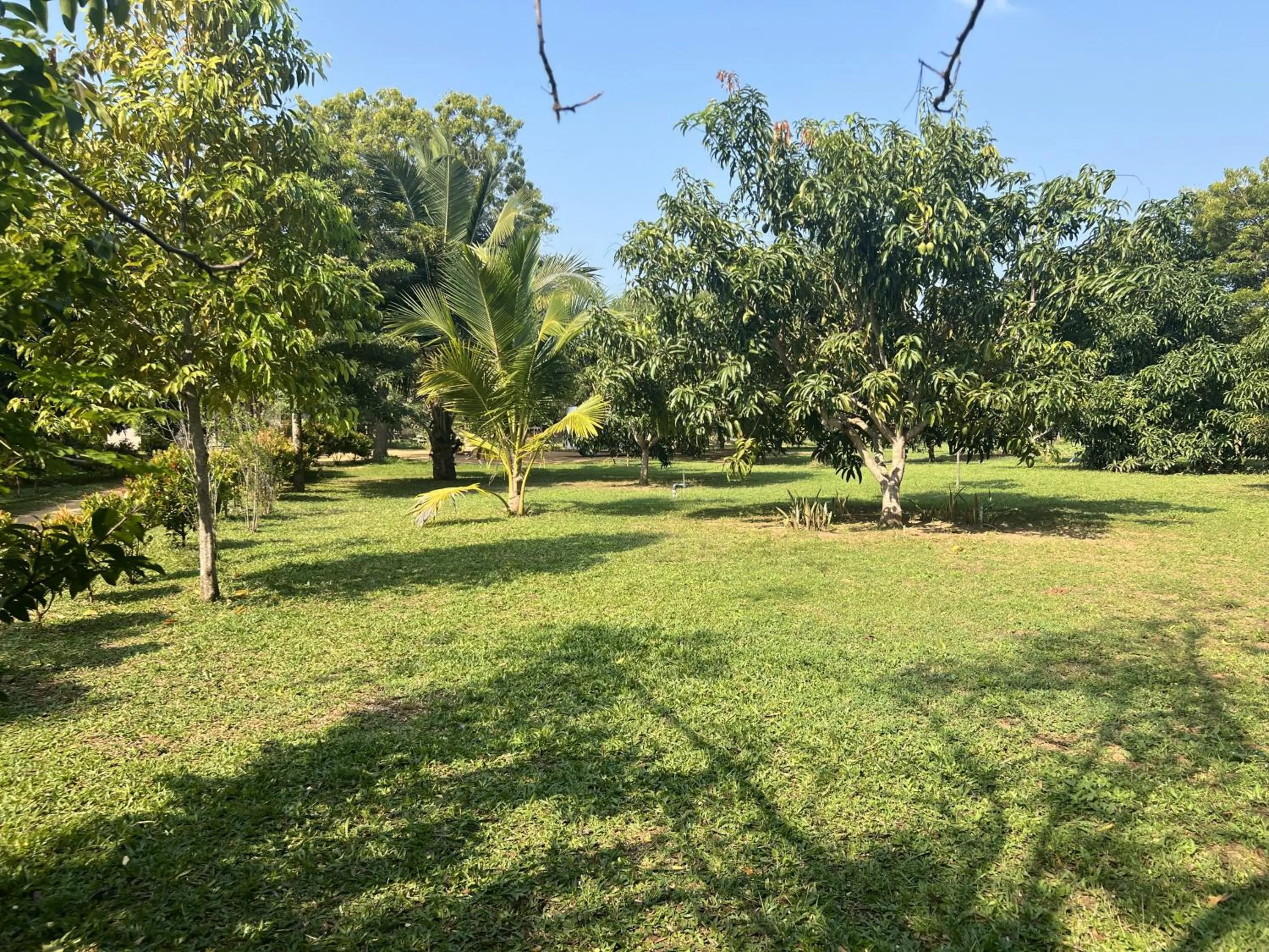 Garden in Saffron Lake Yala