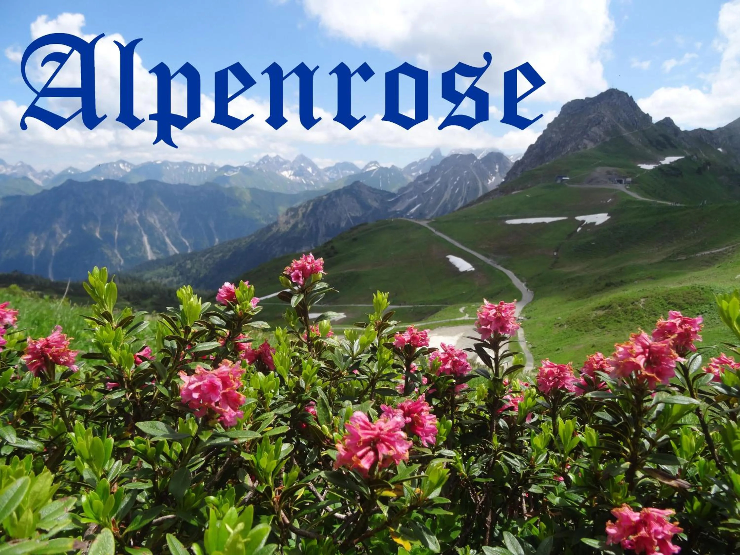 Logo/Certificate/Sign in Gungl Stubn