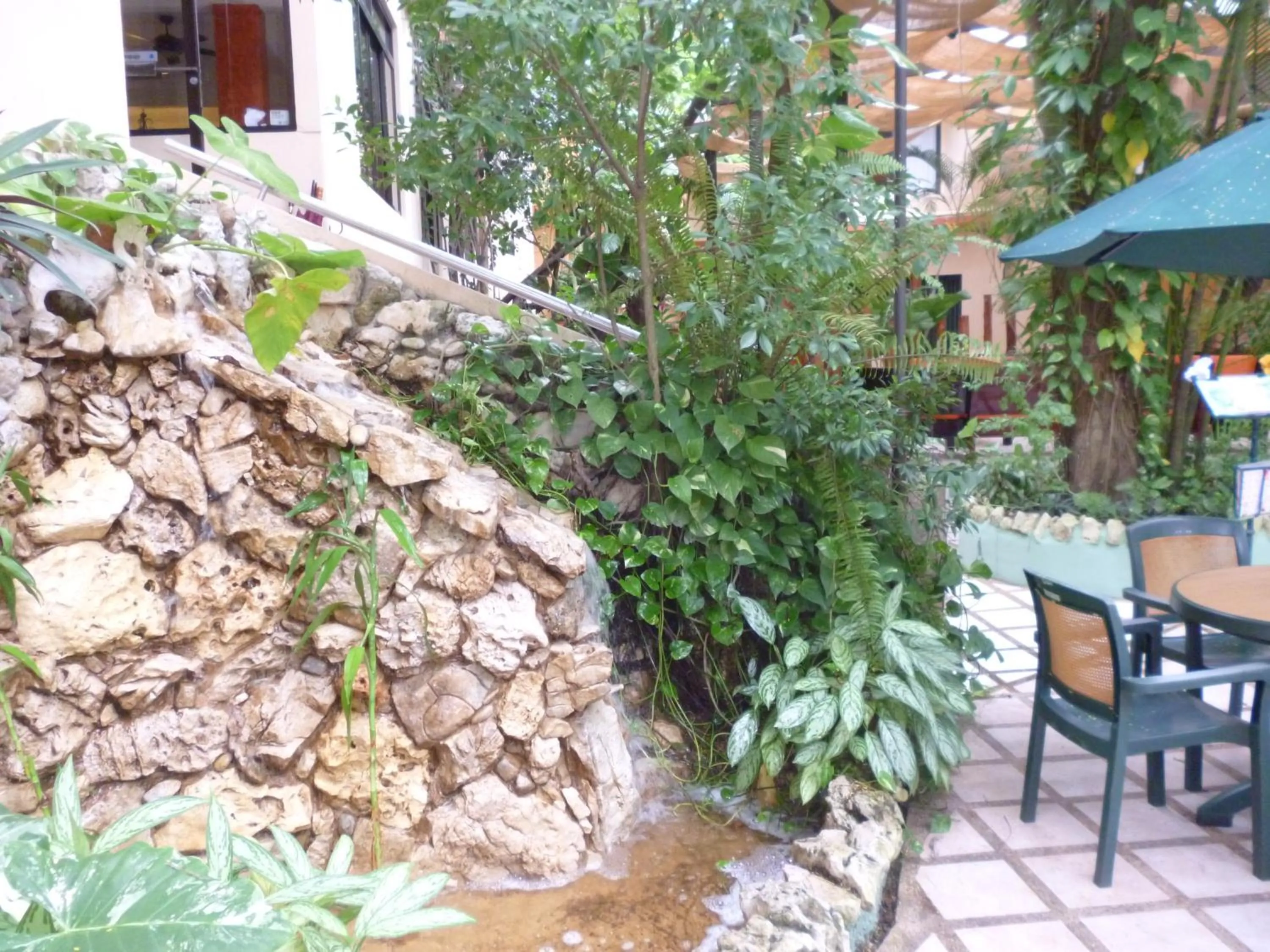 Day in Hotel Maya Tulipanes Palenque